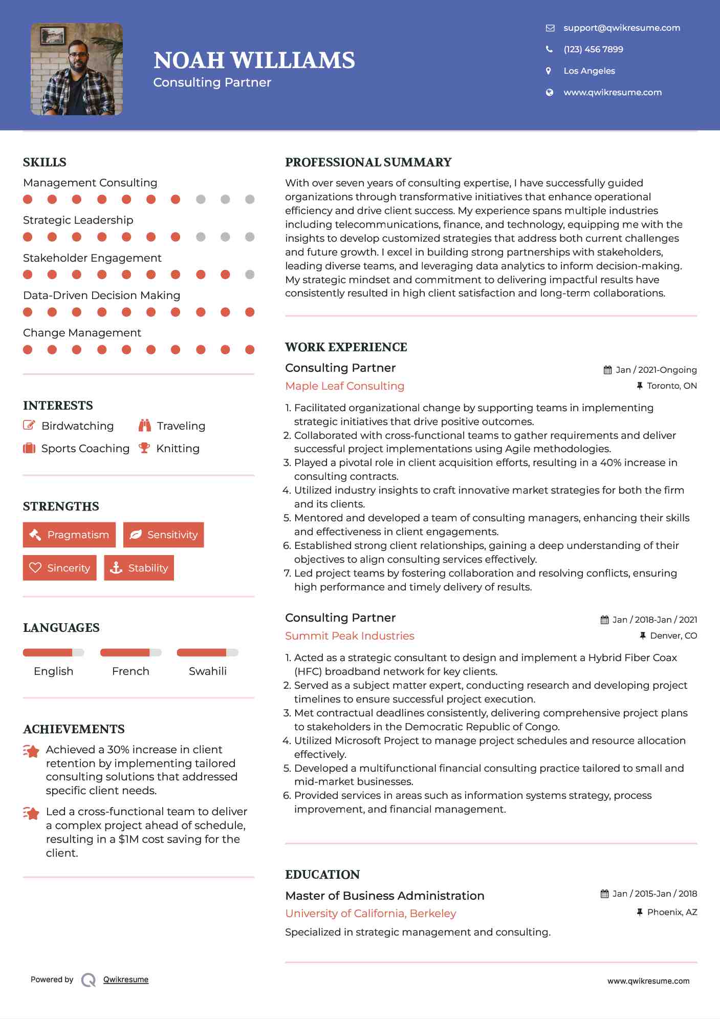Consulting Partner Resume Model