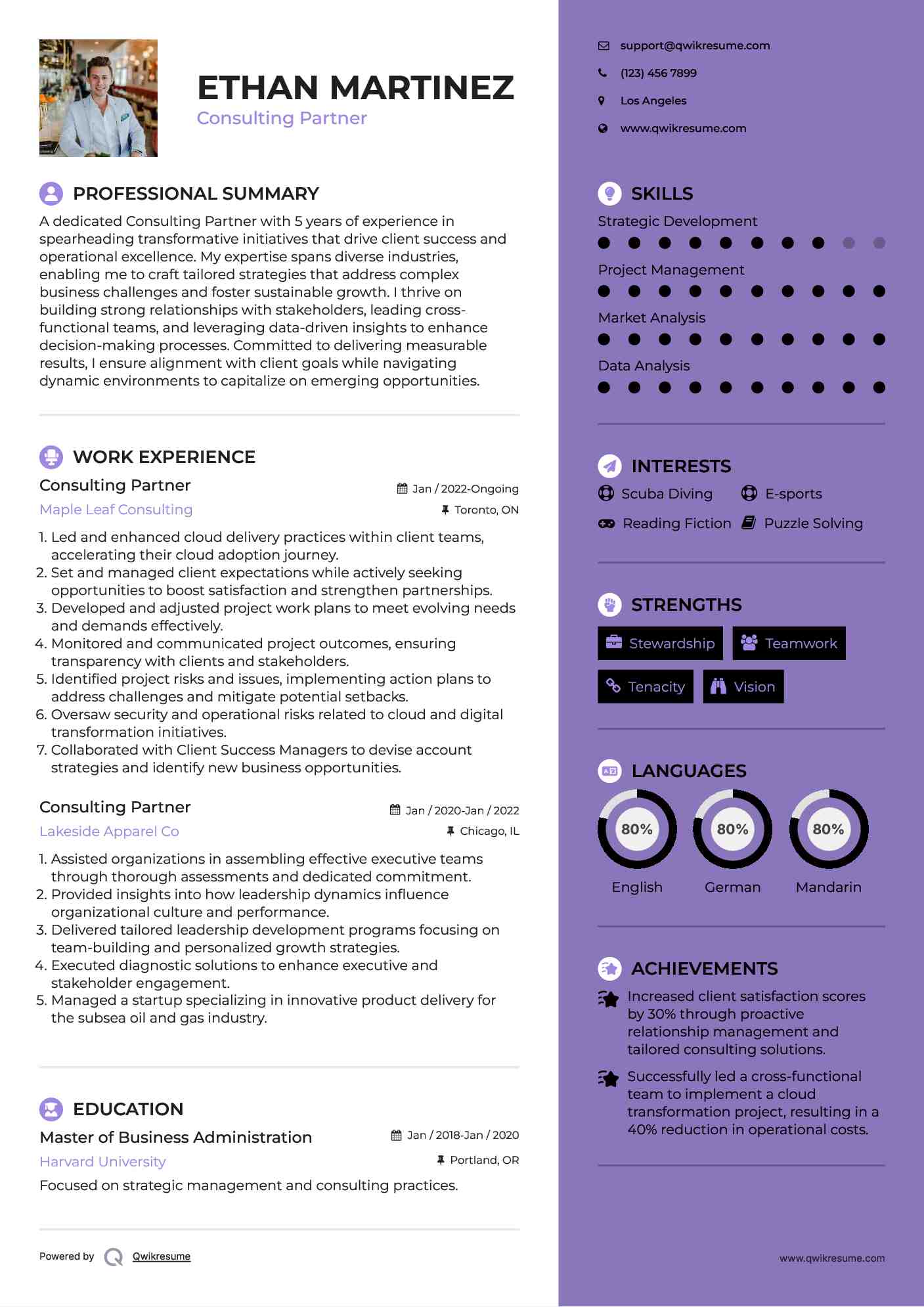 Consulting Partner Resume Example