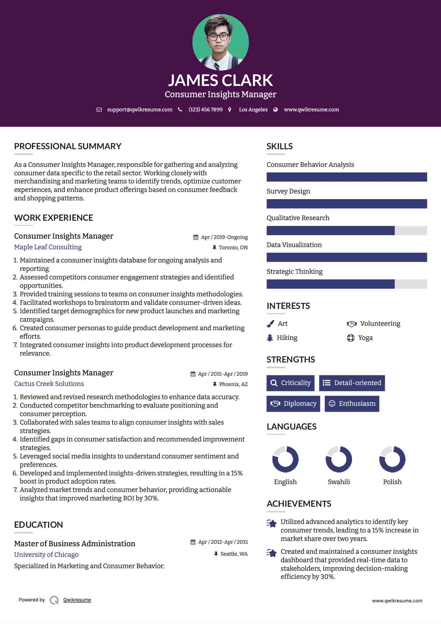 Consumer Insights Manager Resume Model