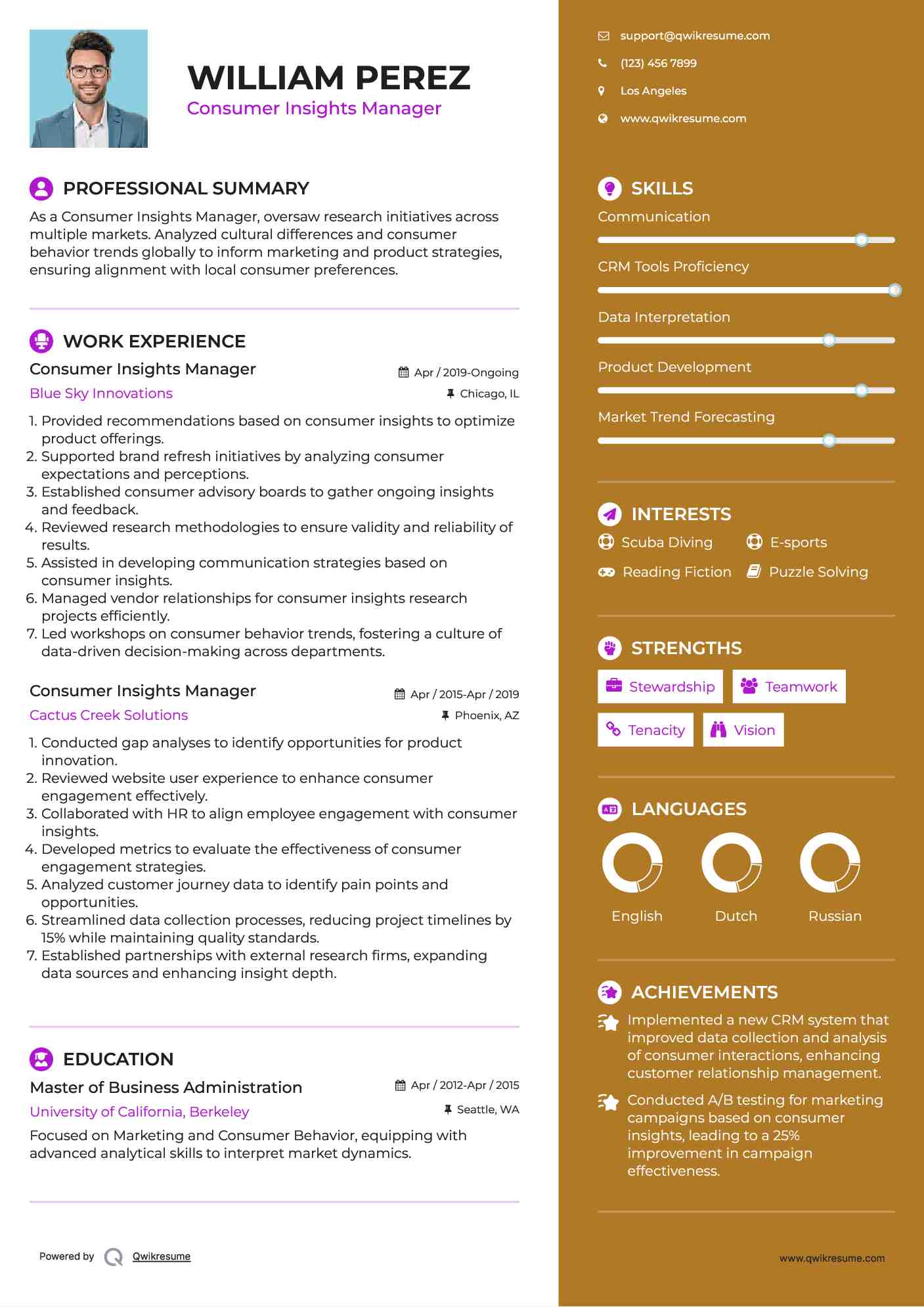 Consumer Insights Manager Resume Sample