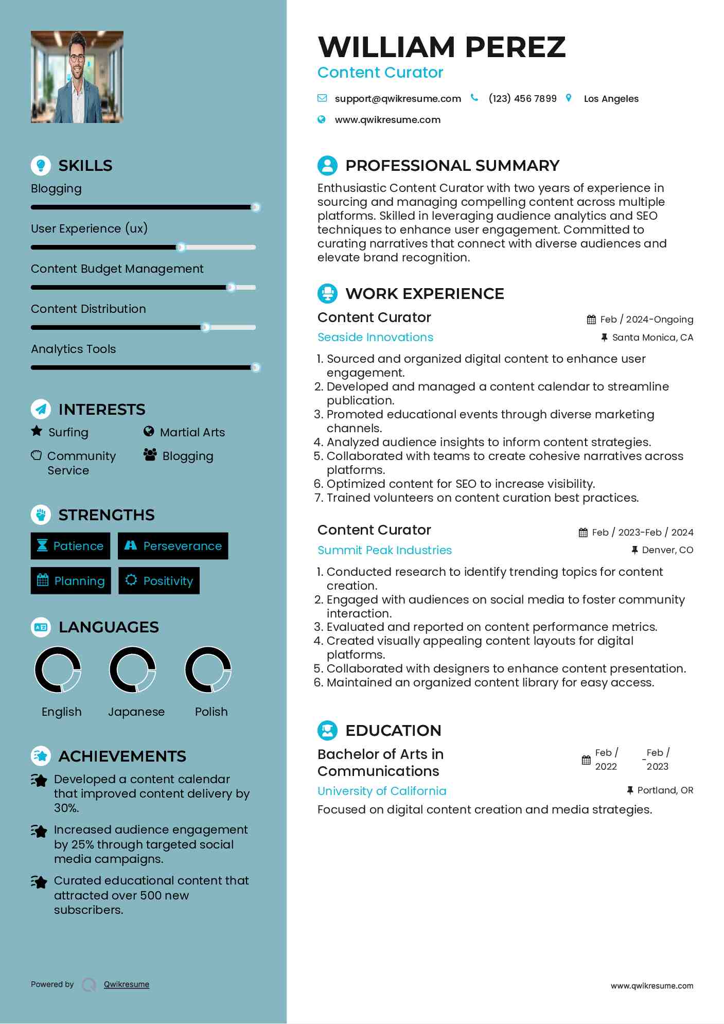 Content Curator Resume Sample