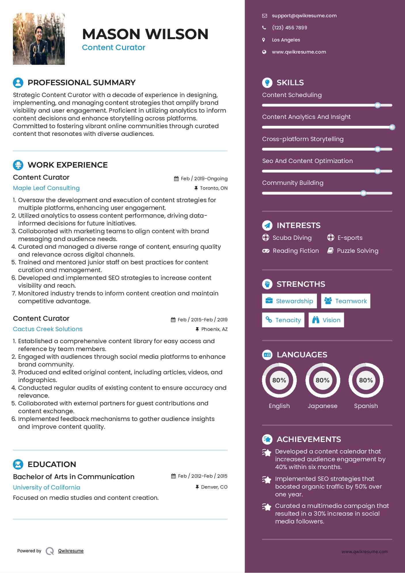 Content Curator Resume Sample