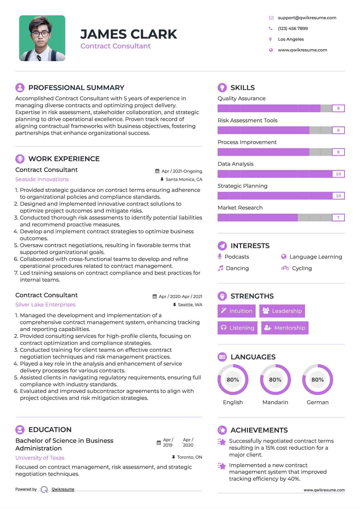 Contract Consultant Resume Model