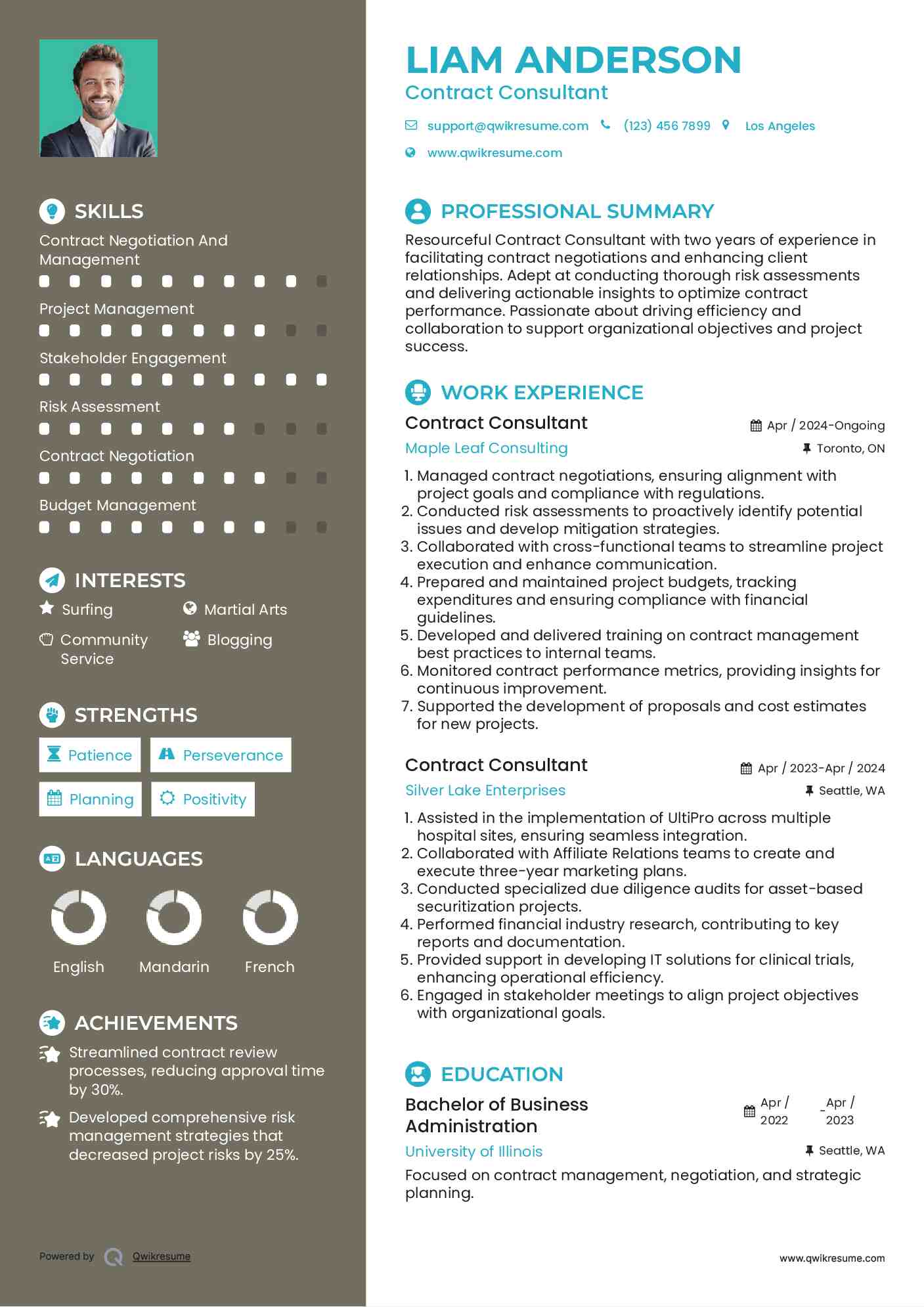 Contract Consultant Resume Model