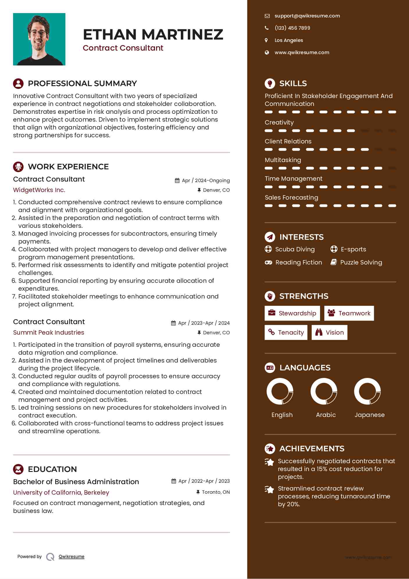 Contract Consultant Resume Model