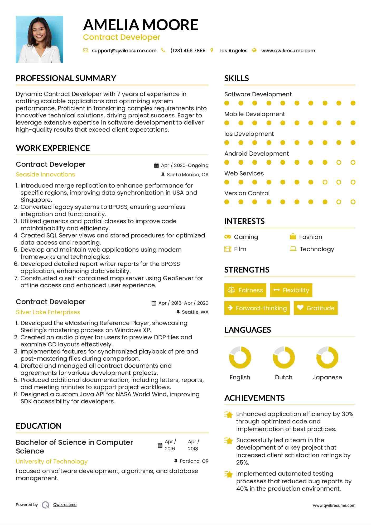 Contract Developer Resume Model