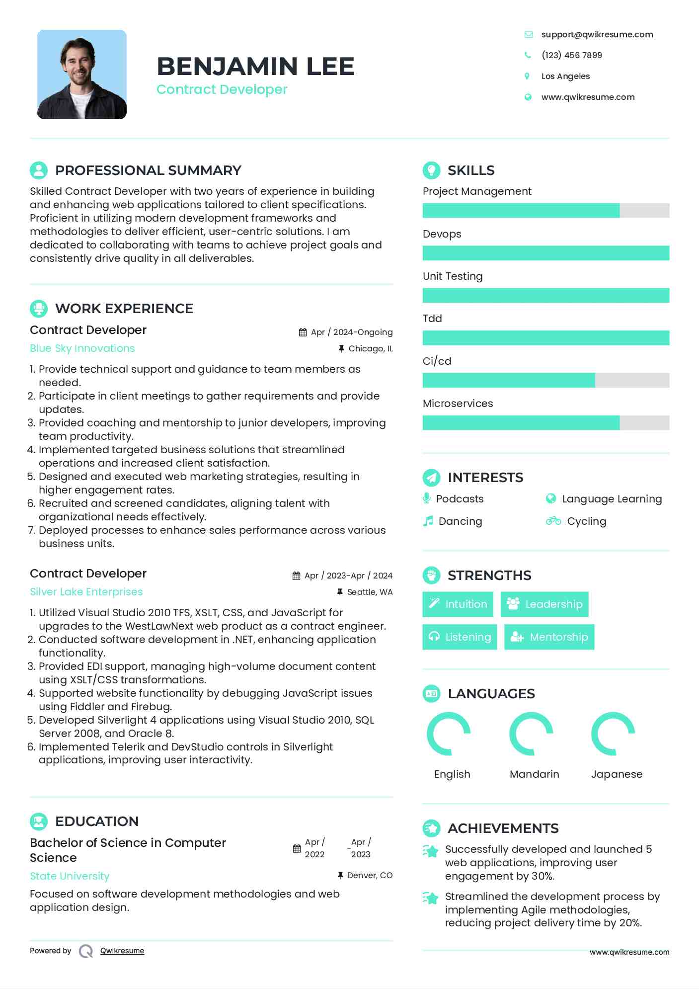 Contract Developer Resume Example