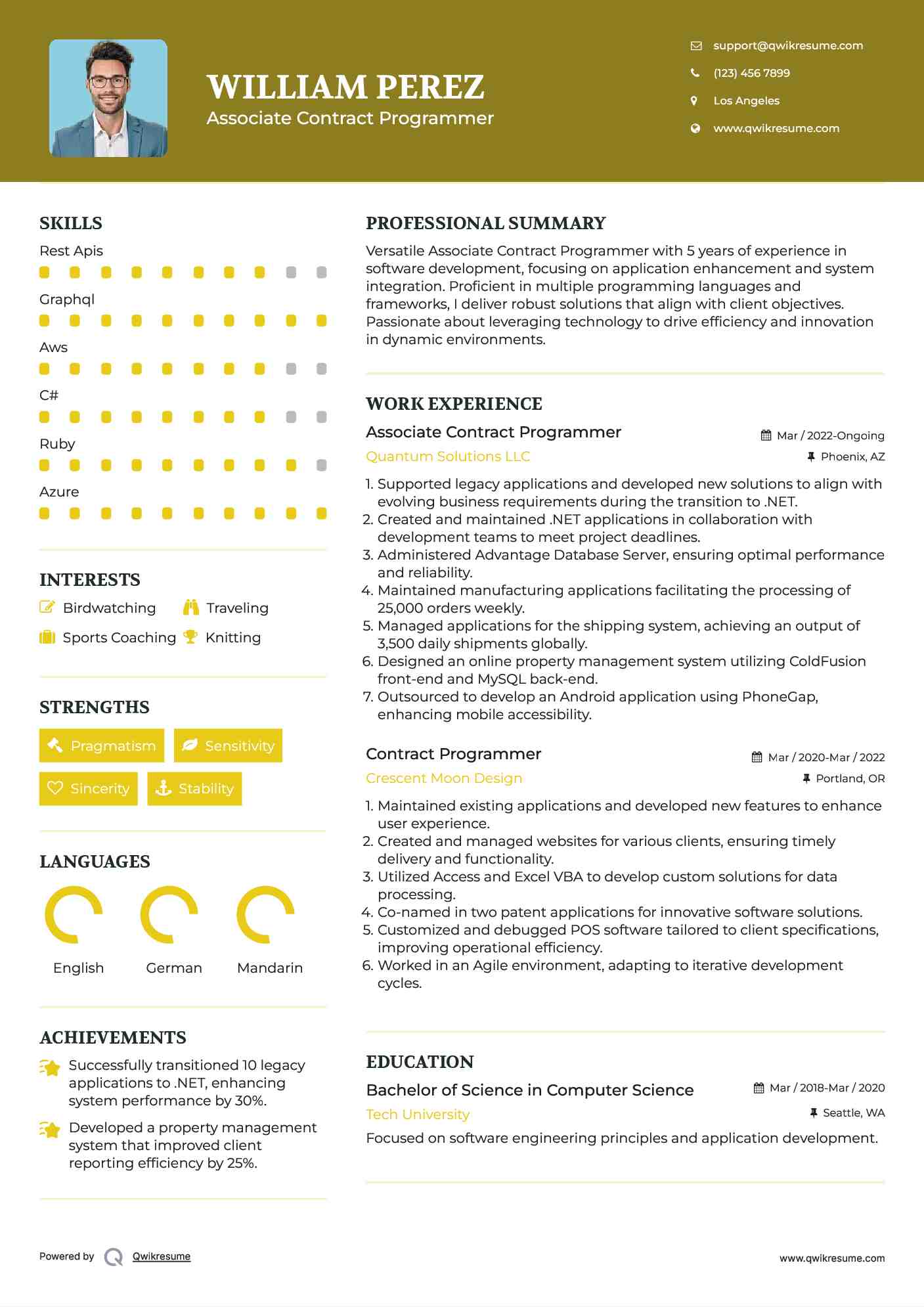 Associate Contract Programmer Resume Example