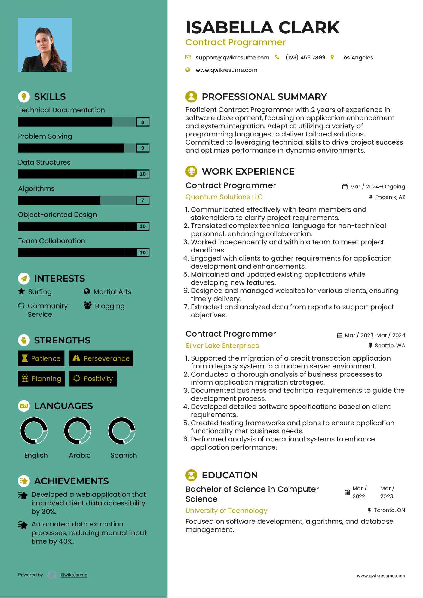 Contract Programmer Resume Model