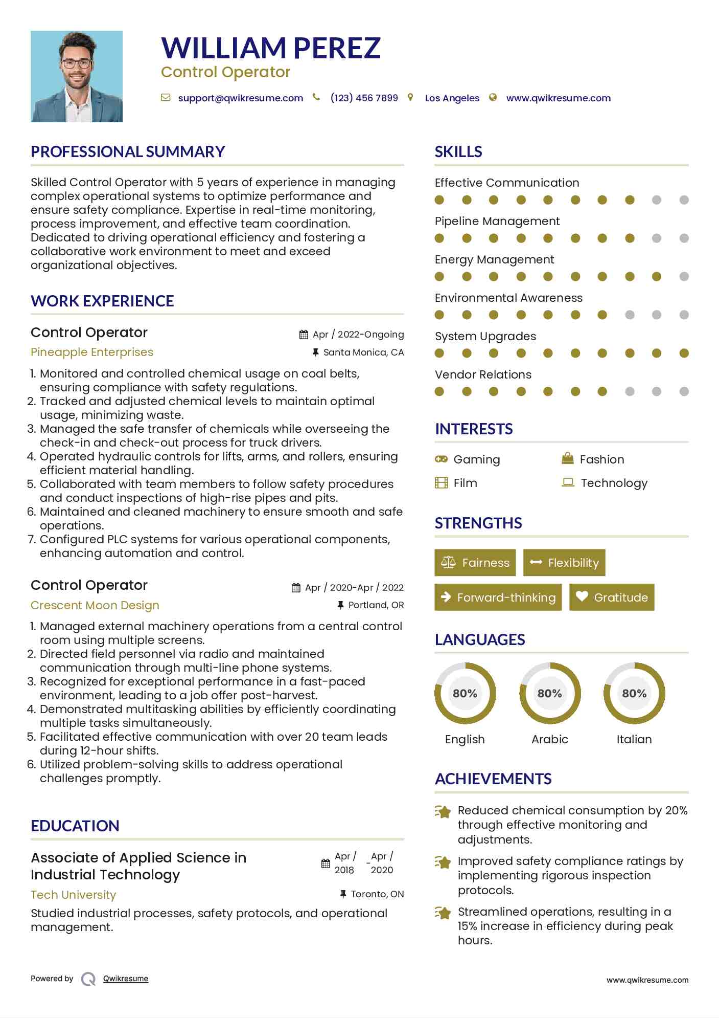 Control Operator Resume Example