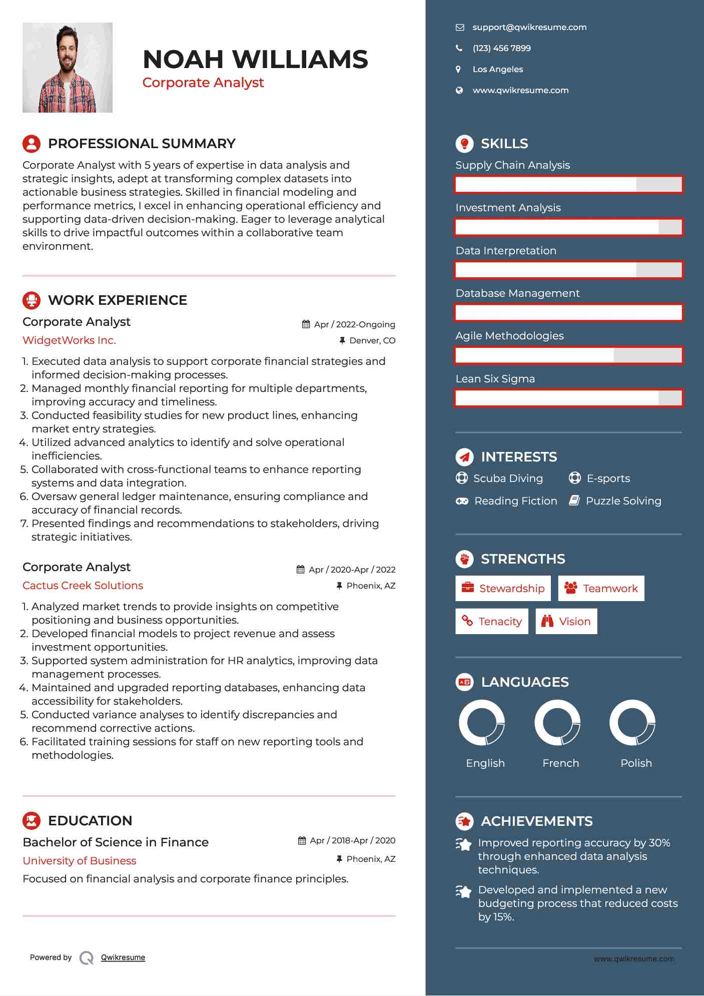 Corporate Analyst Resume Format