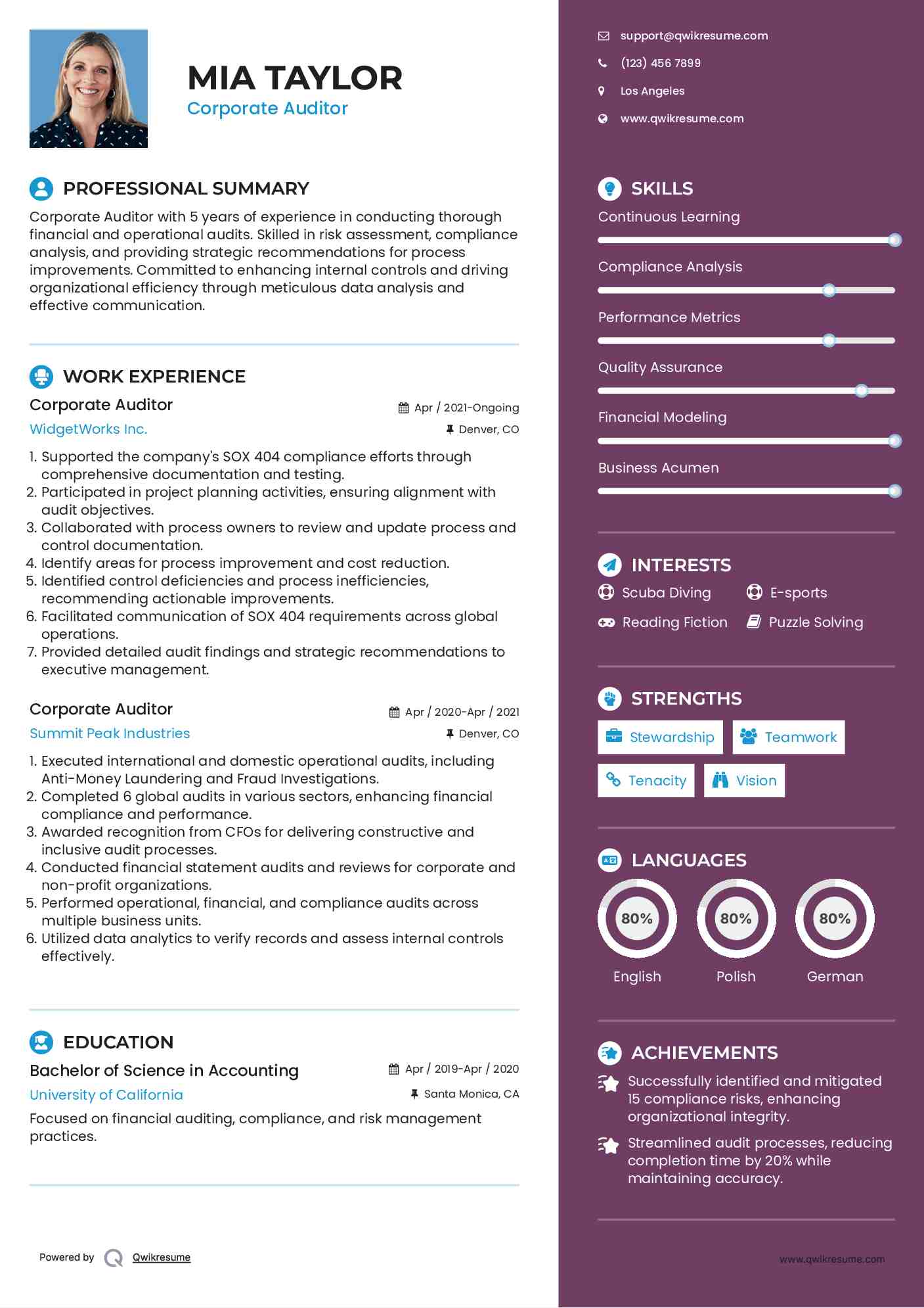 Corporate Auditor Resume Example