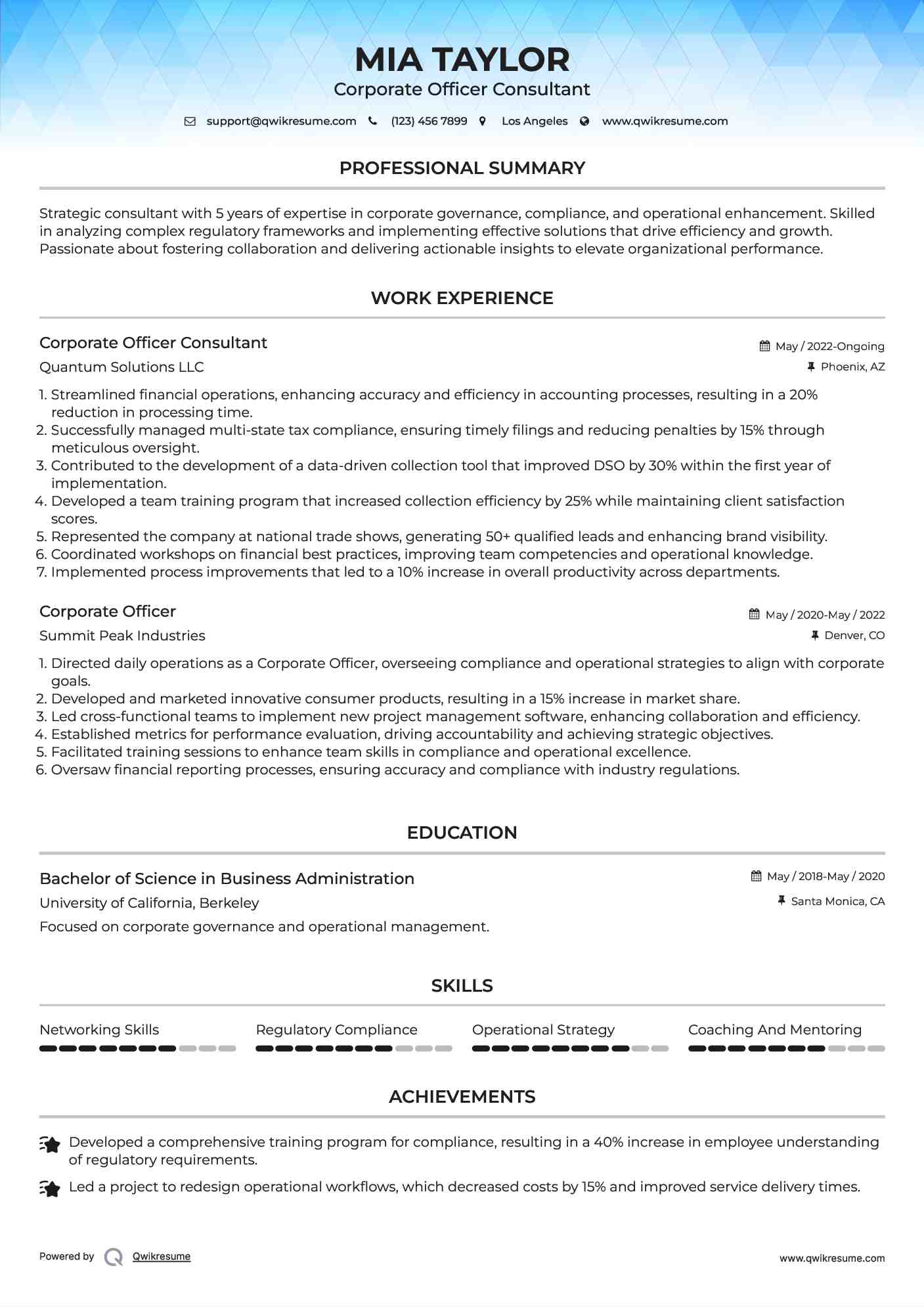 Corporate Officer Consultant Resume Format