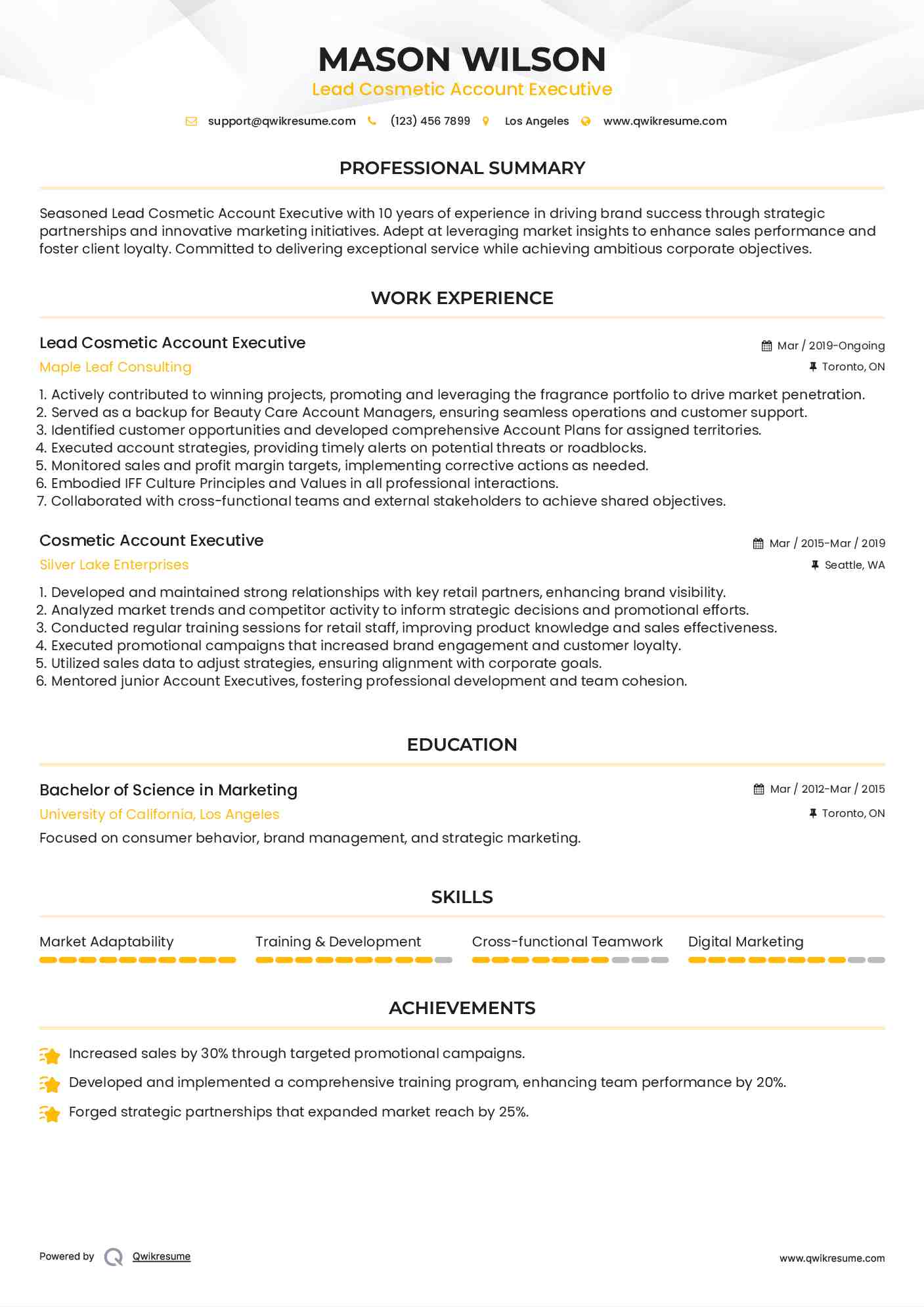 Lead Cosmetic Account Executive Resume Sample
