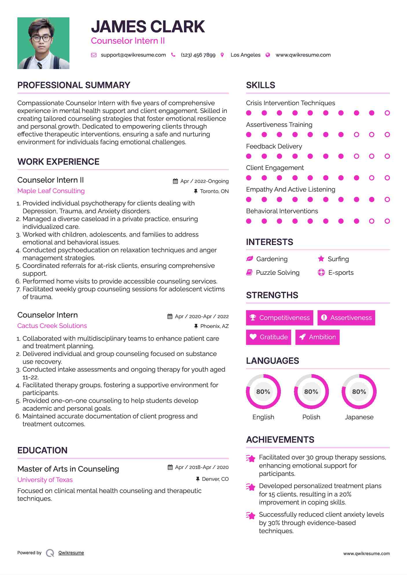 Counselor Intern II Resume Example