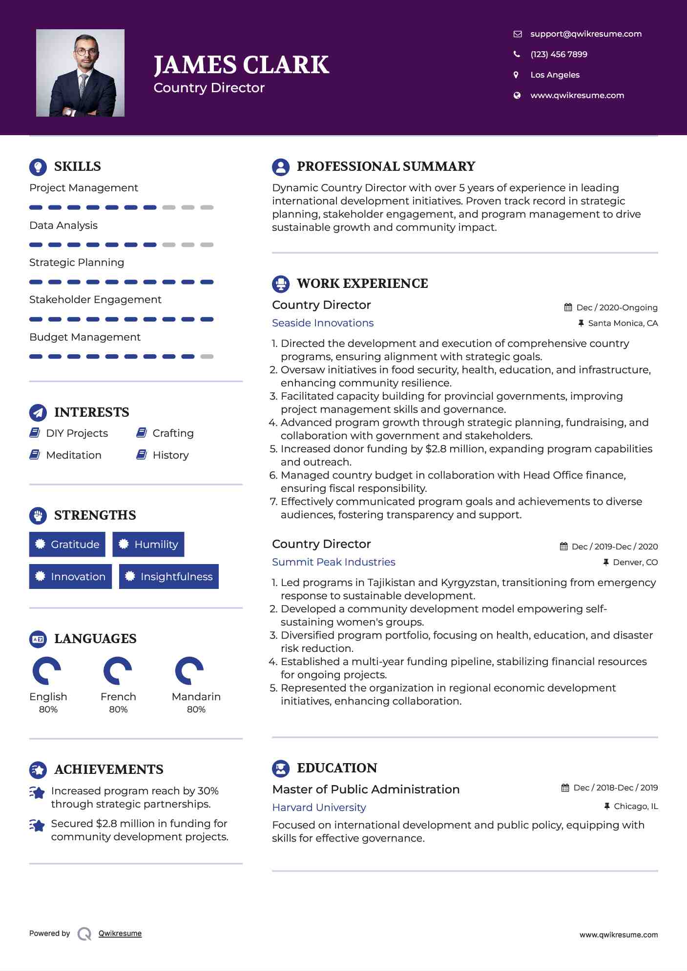 Country Director Resume Template