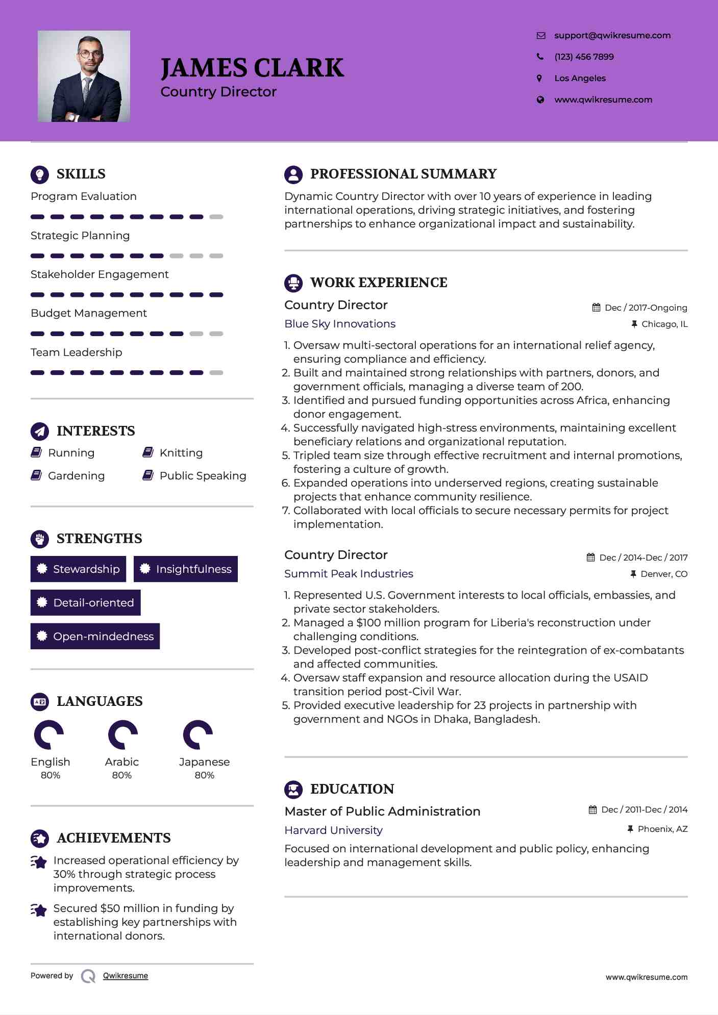 Country Director Resume Model