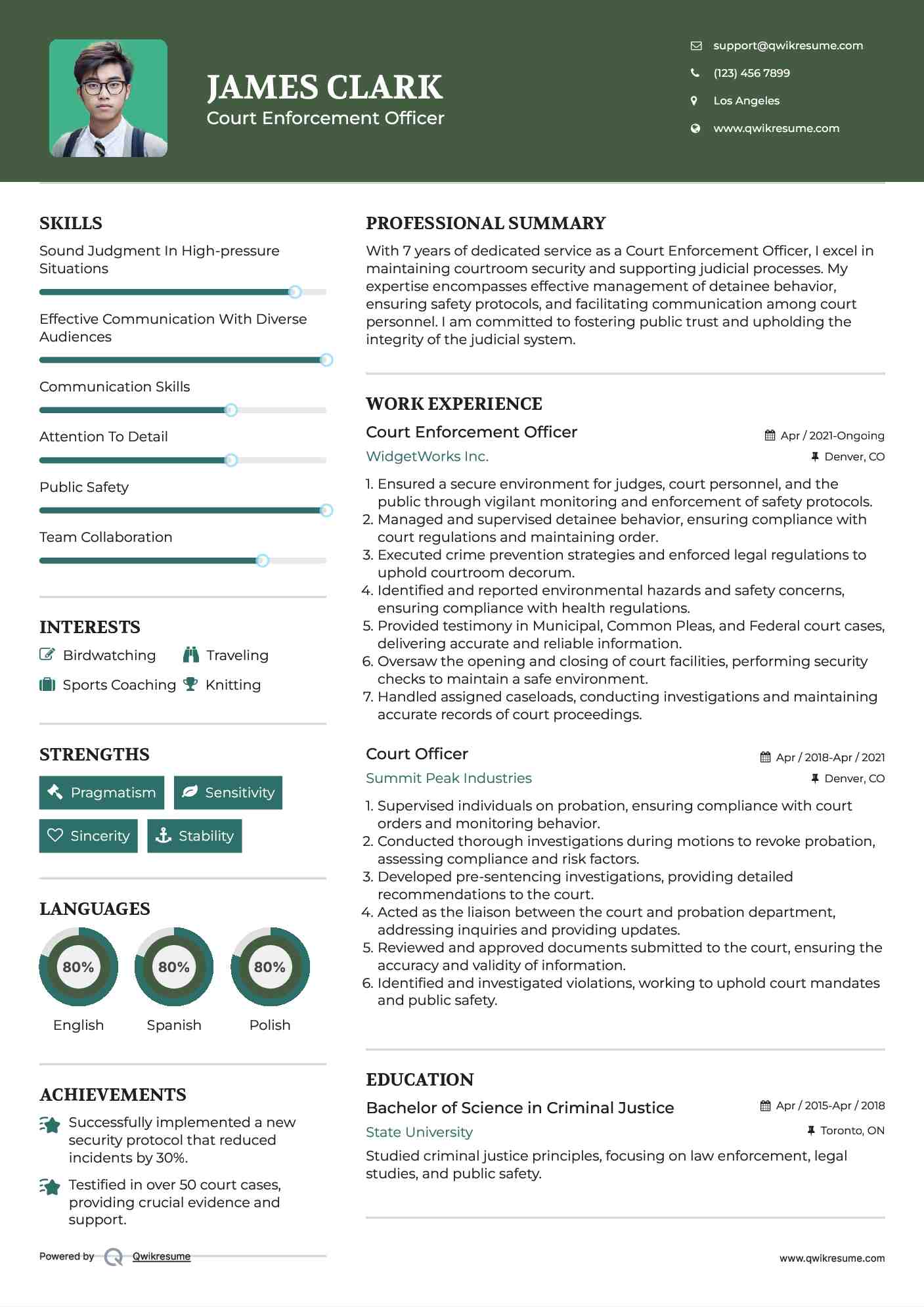 Court Enforcement Officer Resume Model