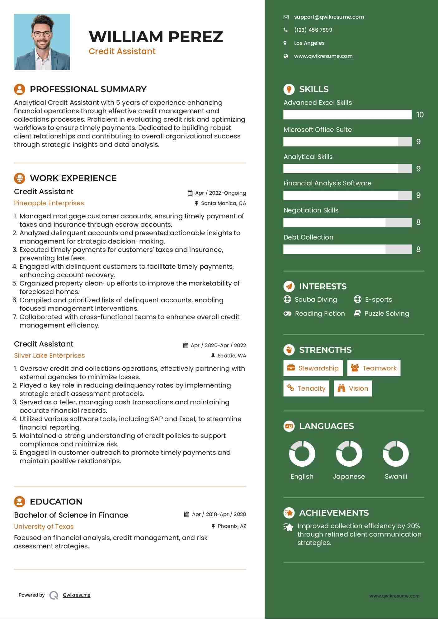 Credit Assistant Resume Model