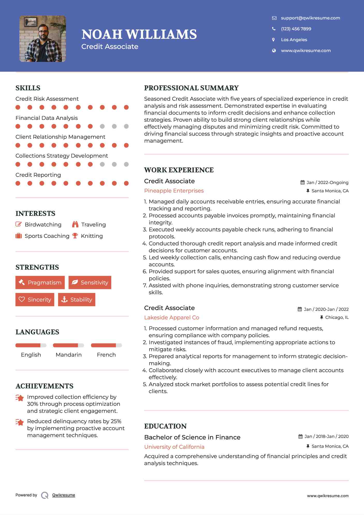 Credit Associate Resume Example