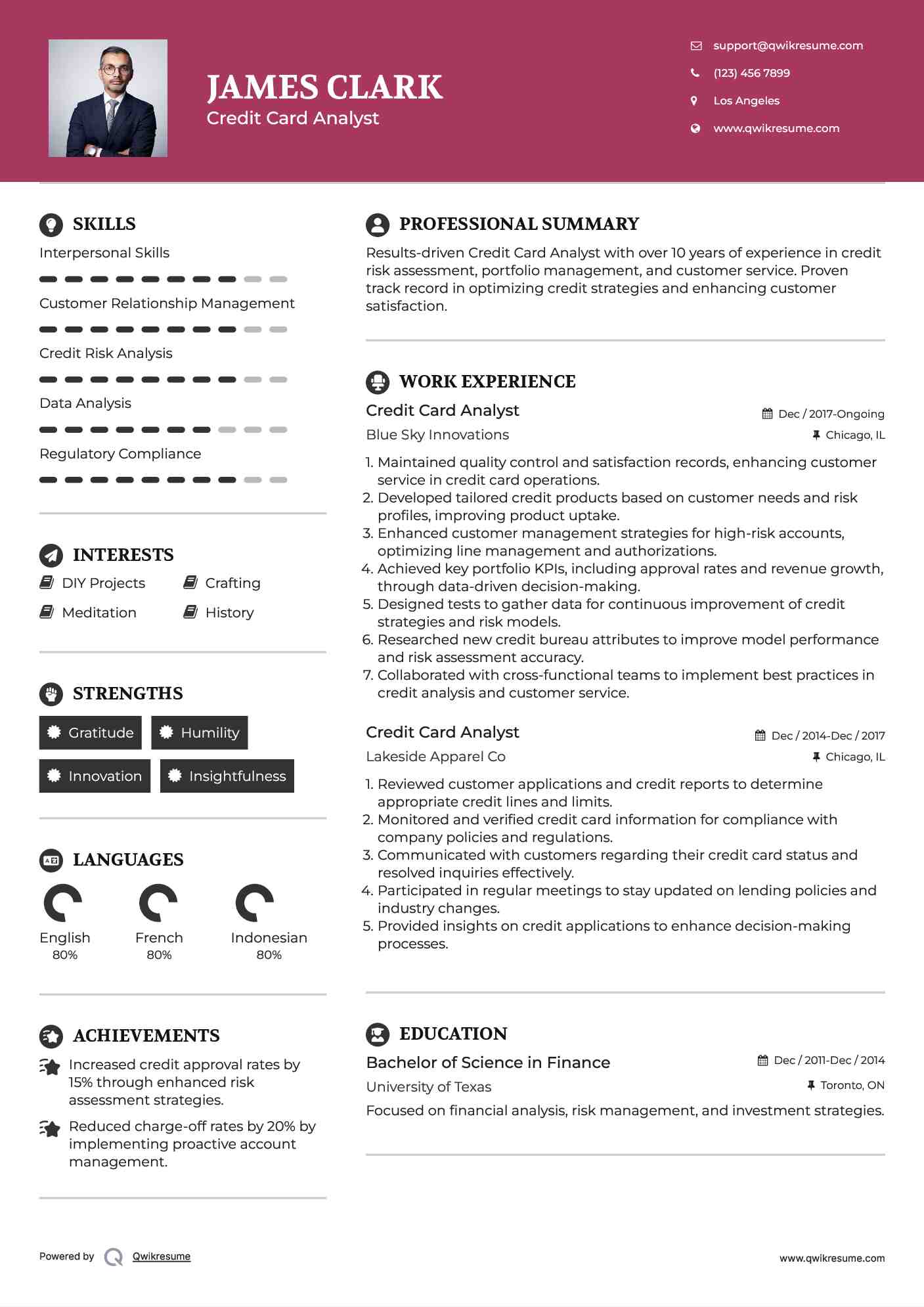 Credit Card Analyst Resume Template
