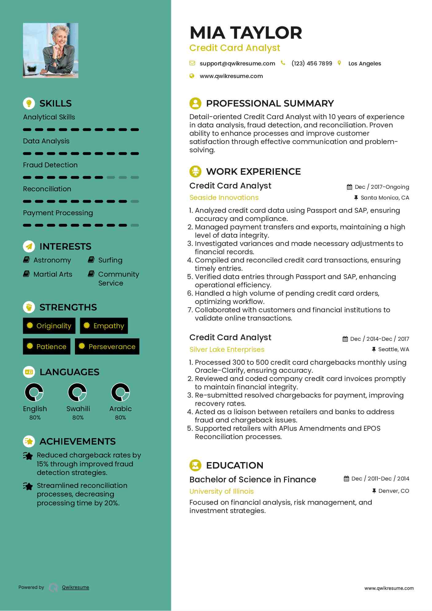 Credit Card Analyst Resume Model