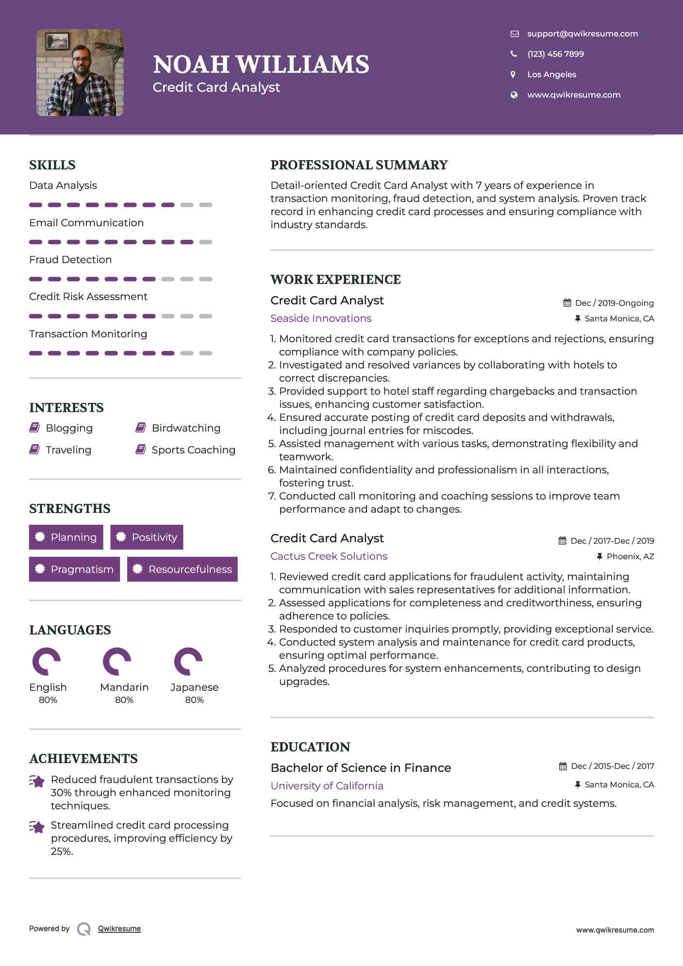 Credit Card Analyst Resume Model