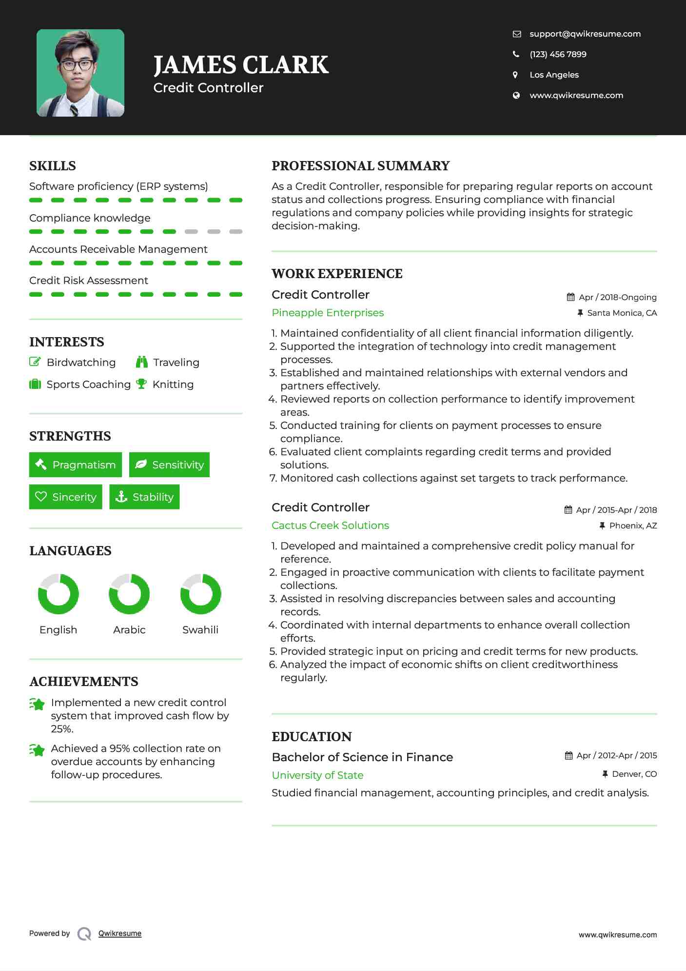 Credit Controller Resume Template