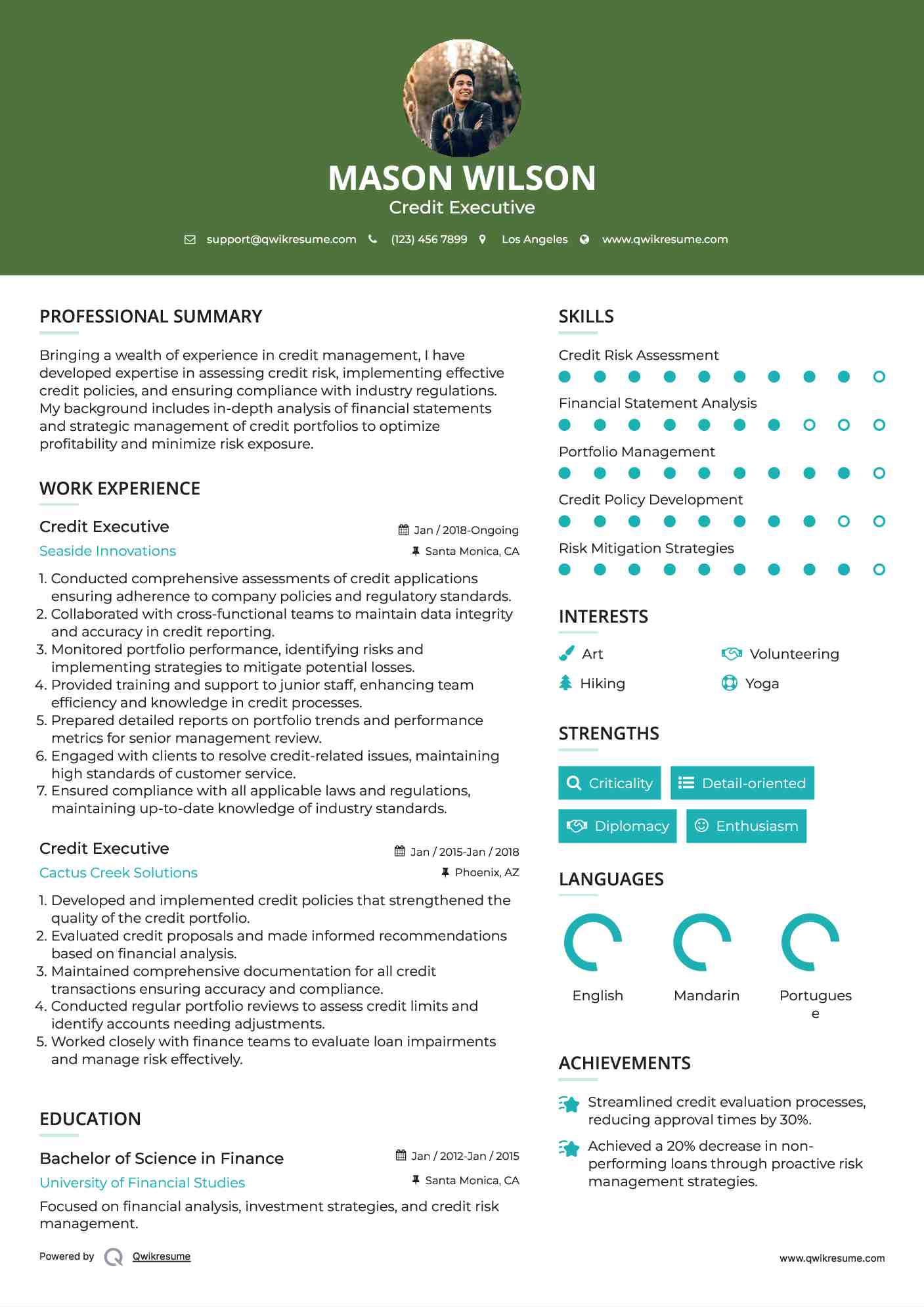 Credit Executive Resume Example