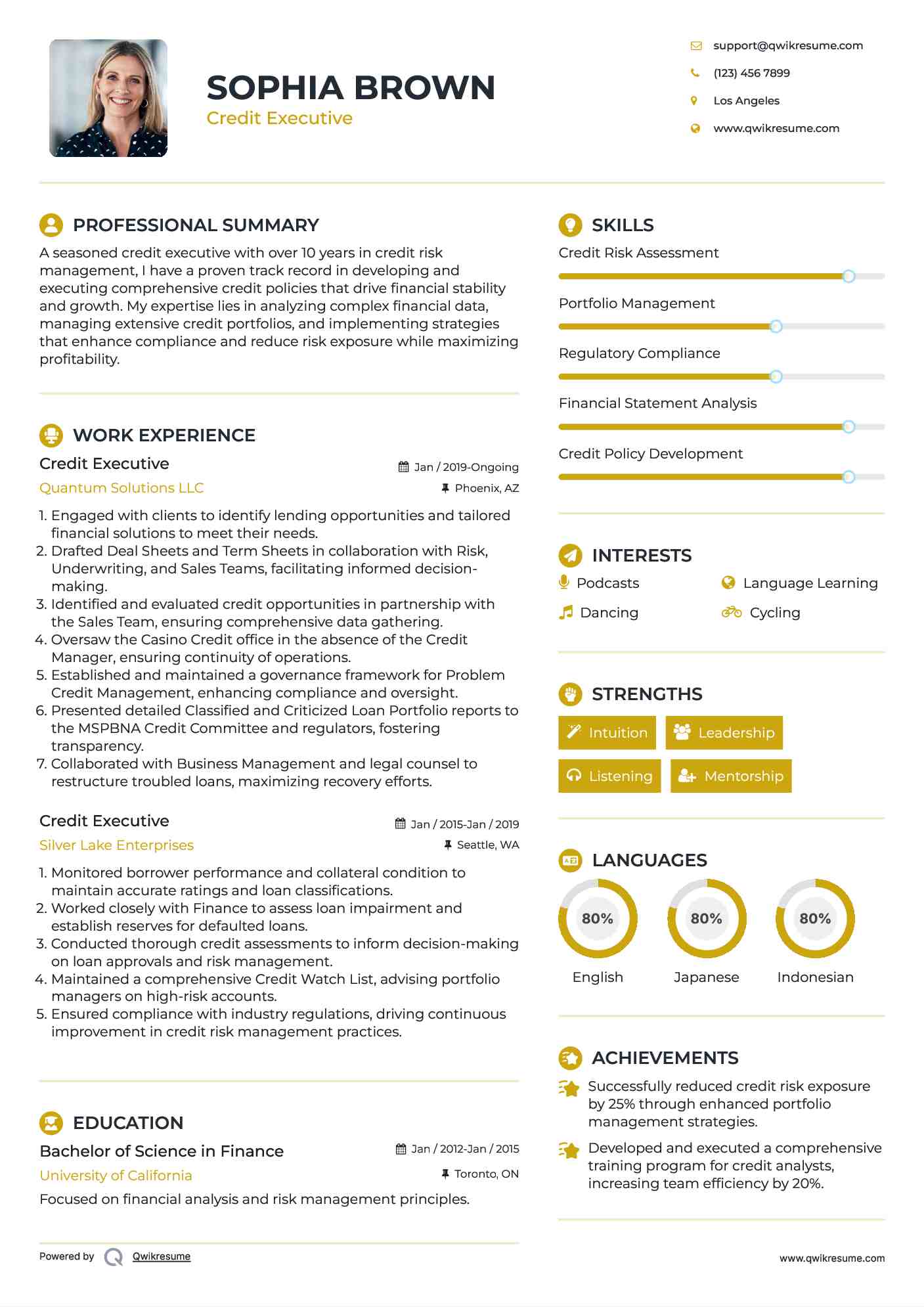Credit Executive Resume Example