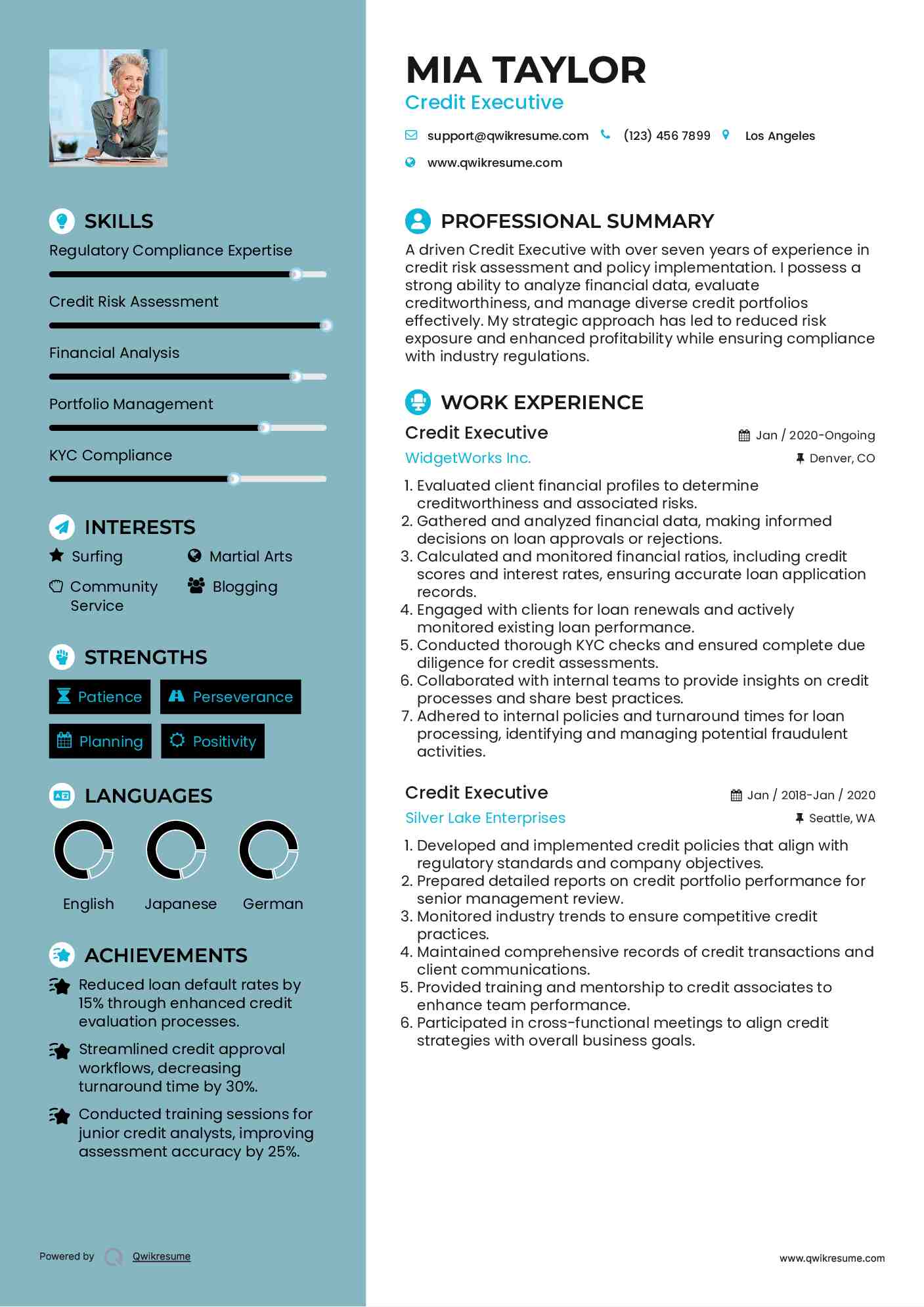 Credit Executive Resume Sample