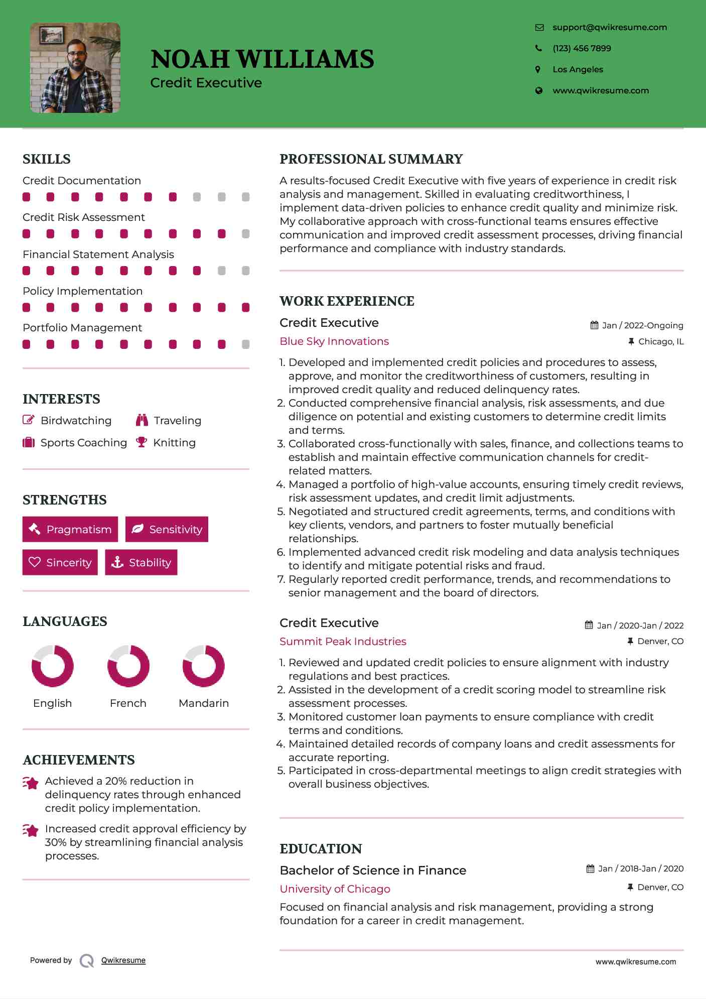 Credit Executive Resume Format