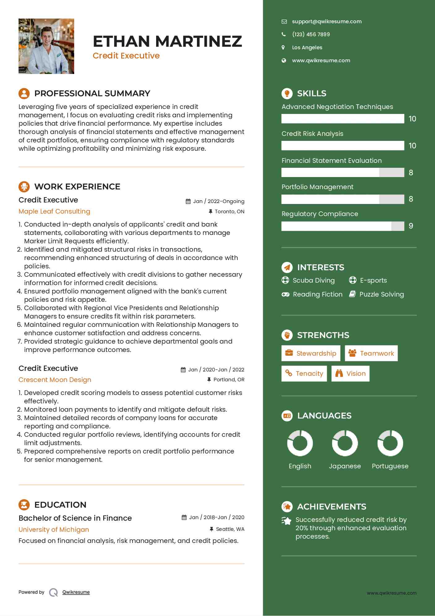 Credit Executive Resume Example