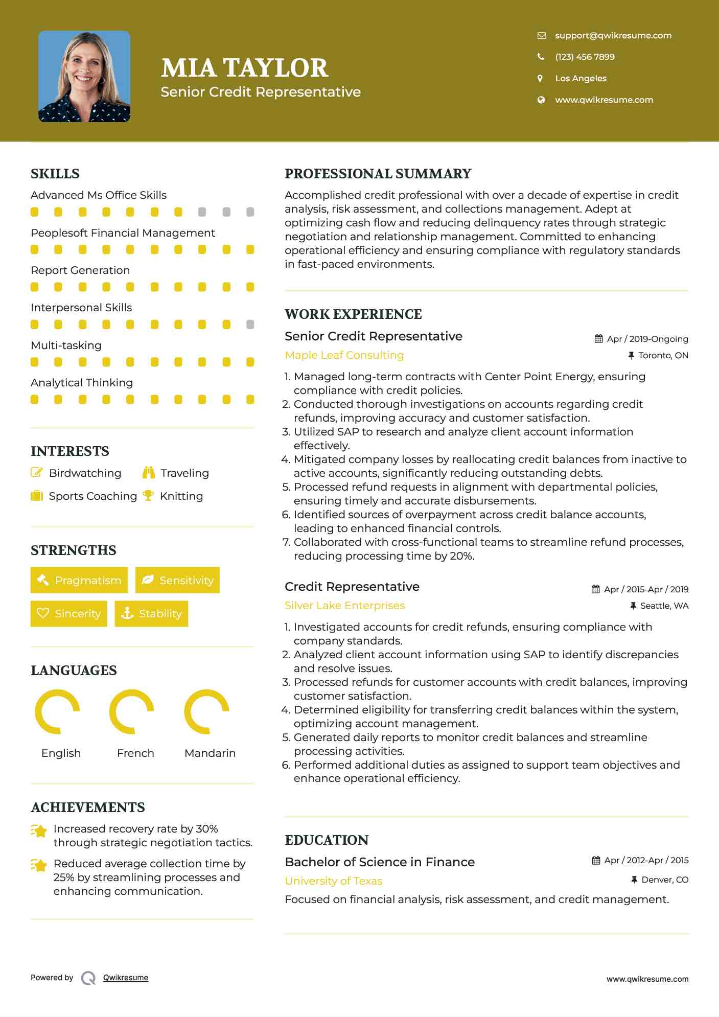 Senior Credit Representative  Resume Sample