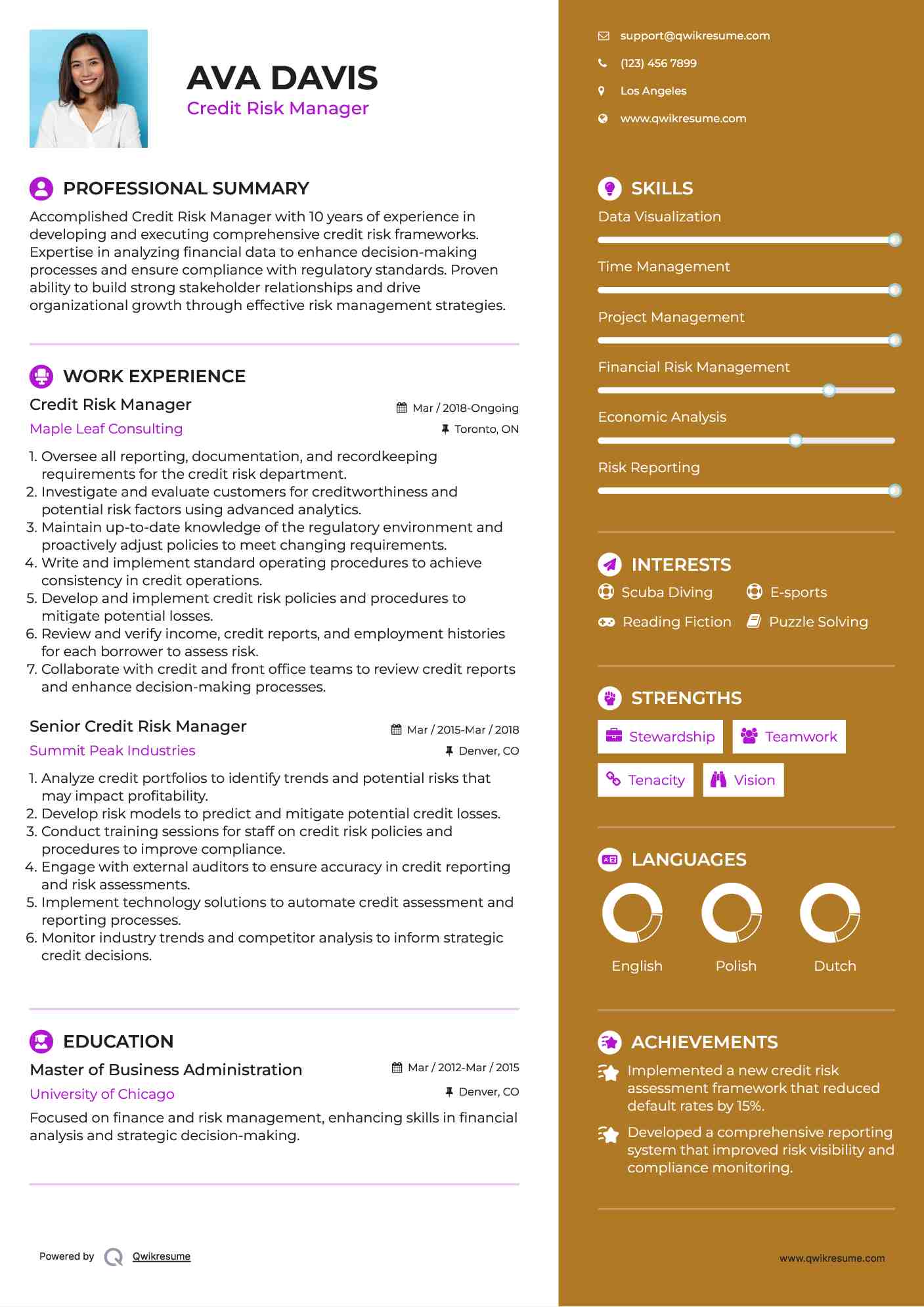 Credit Risk Manager Resume Template