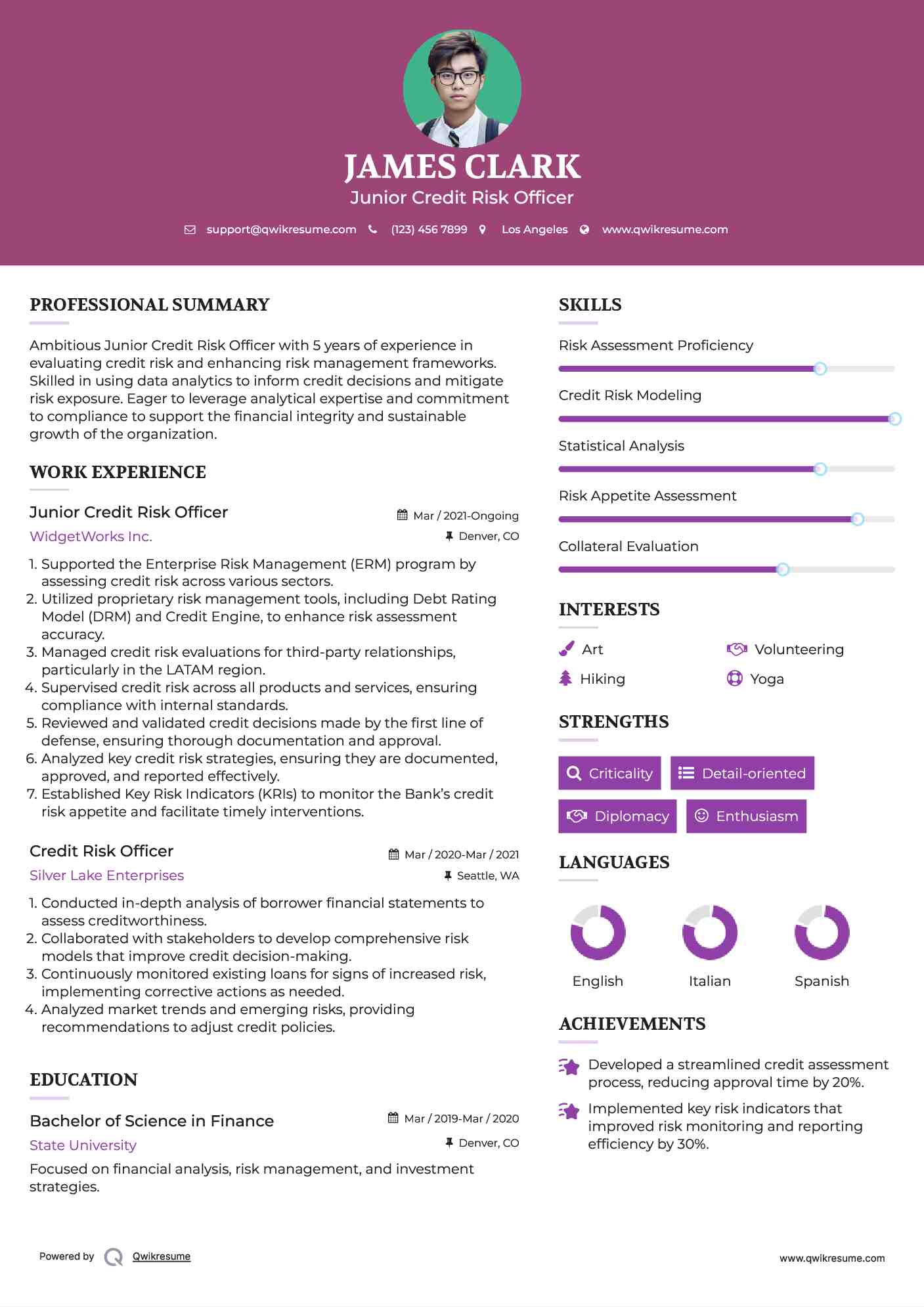 Junior Credit Risk Officer Resume Model