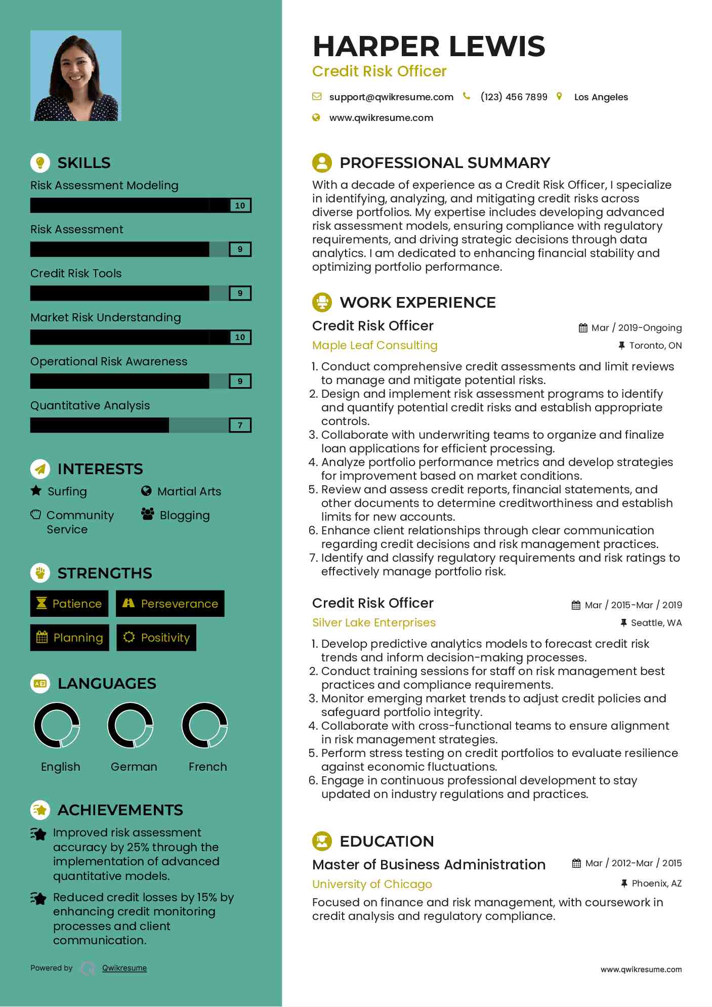 Credit Risk Officer Resume Example