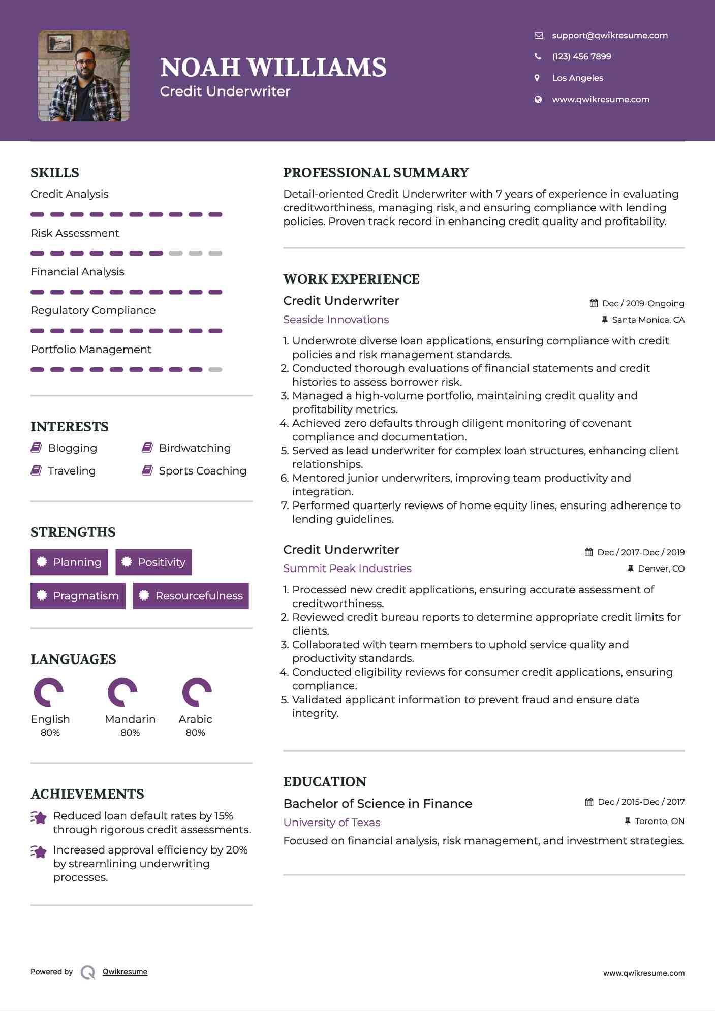 Credit Underwriter Resume Example