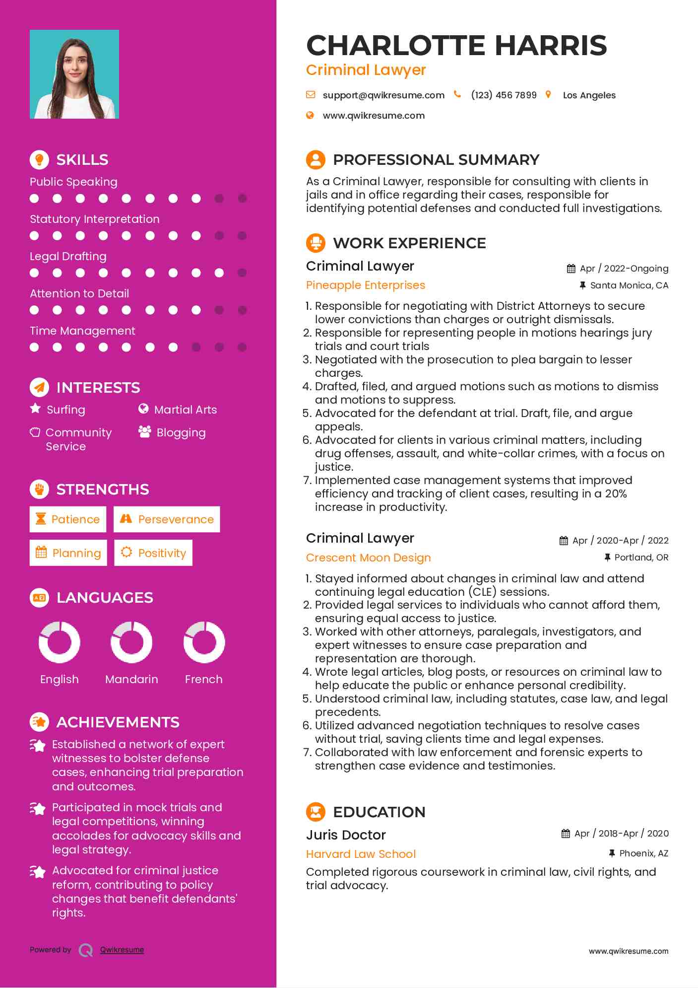 Criminal Lawyer Resume Model