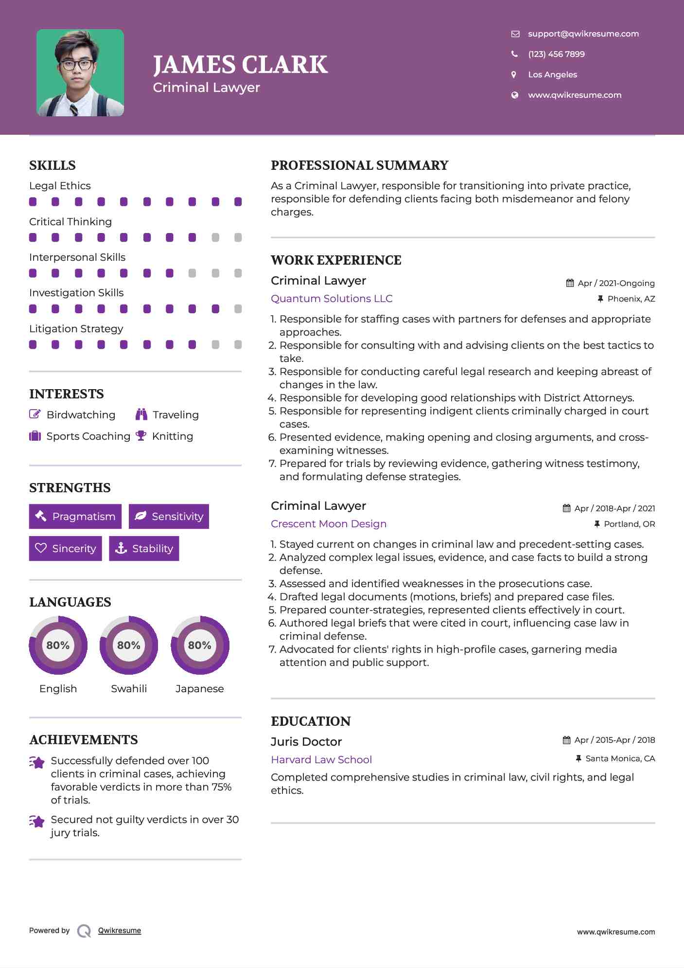 Criminal Lawyer Resume Model