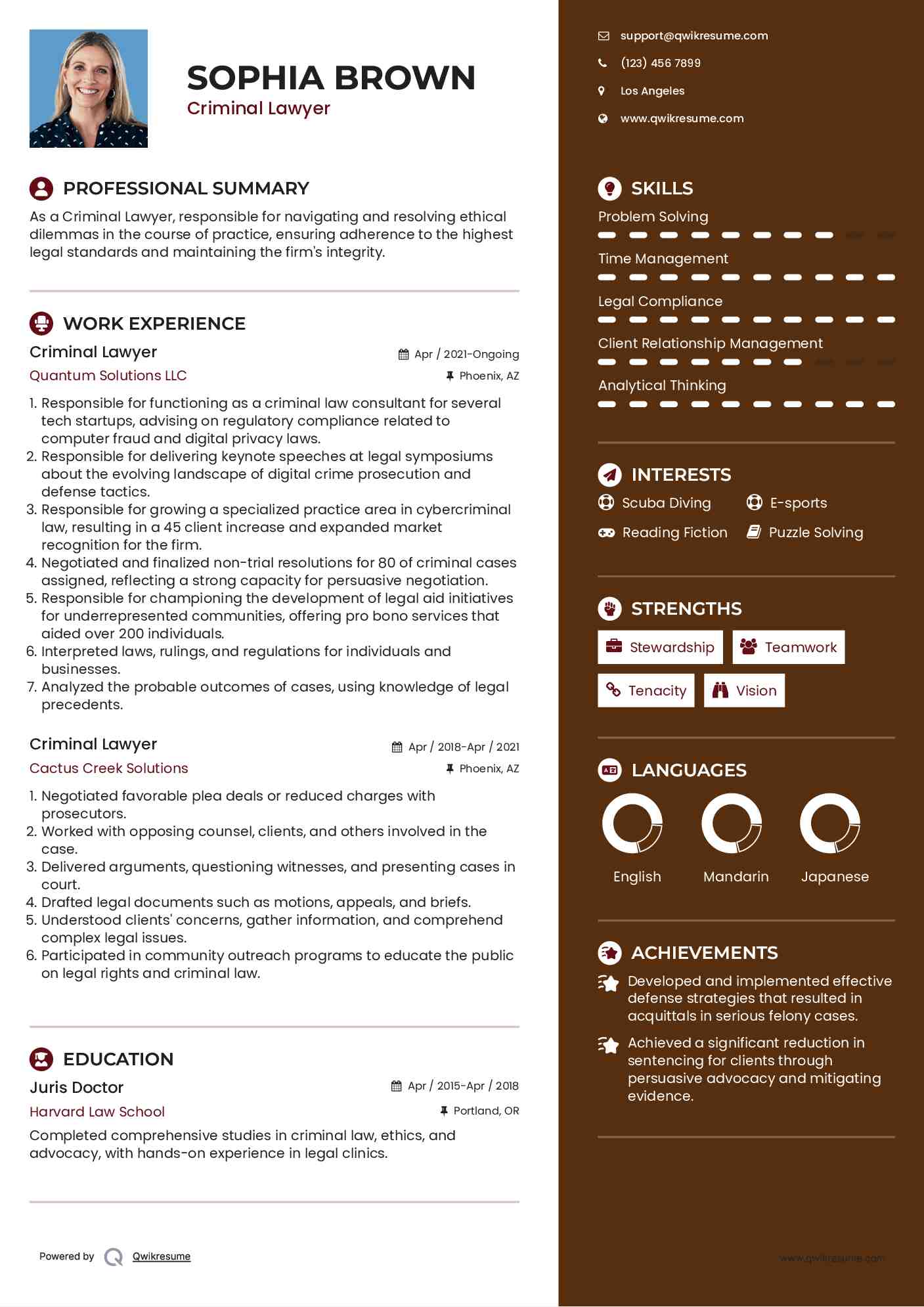 Criminal Lawyer Resume Example