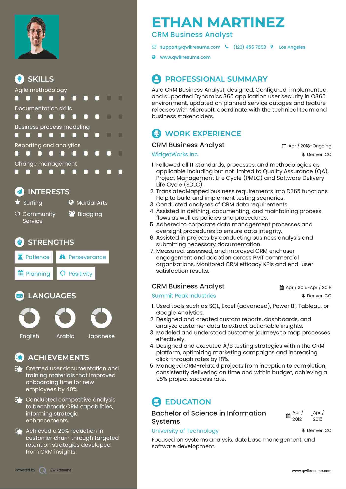 CRM Business Analyst Resume Model