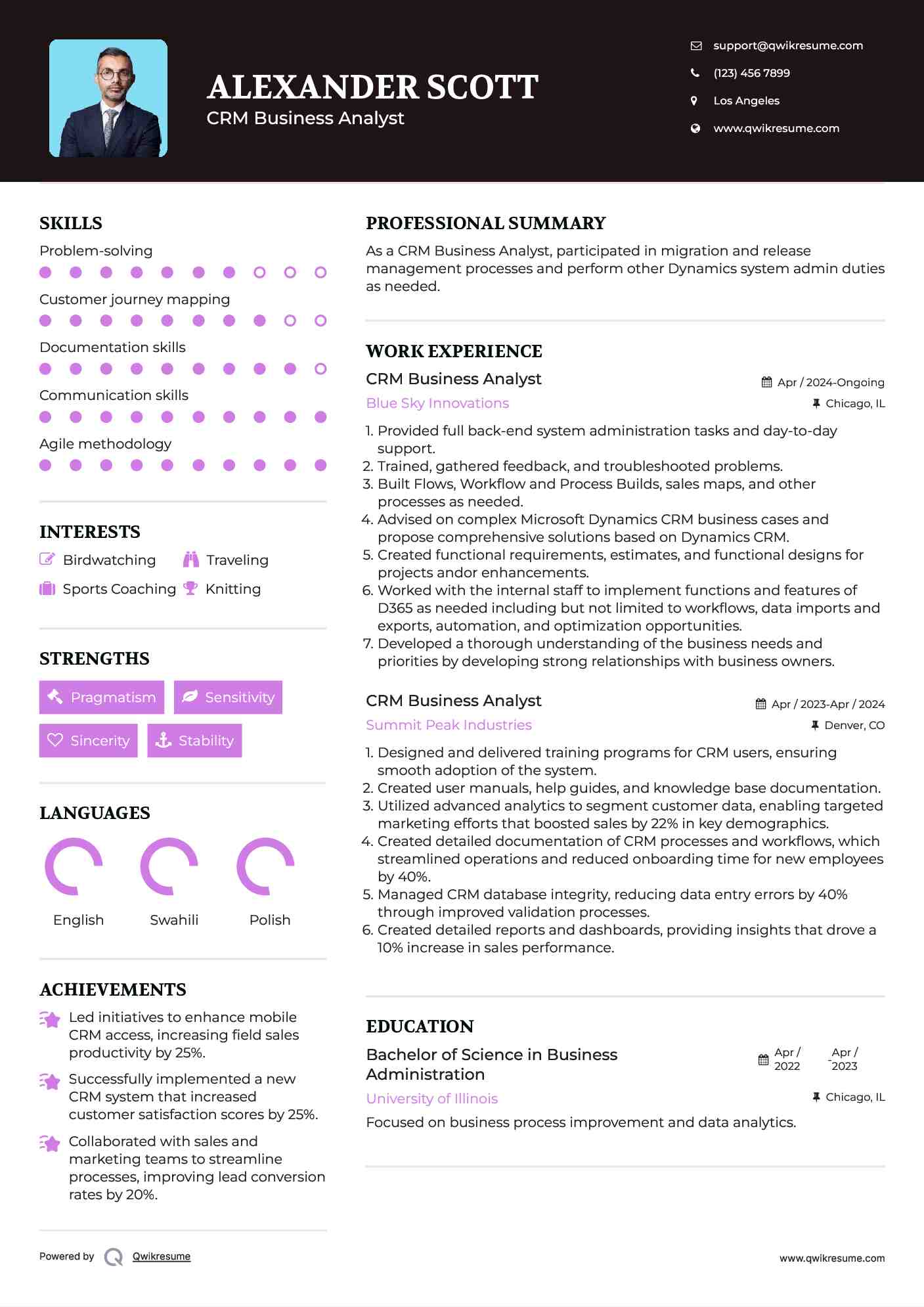 CRM Business Analyst Resume Sample