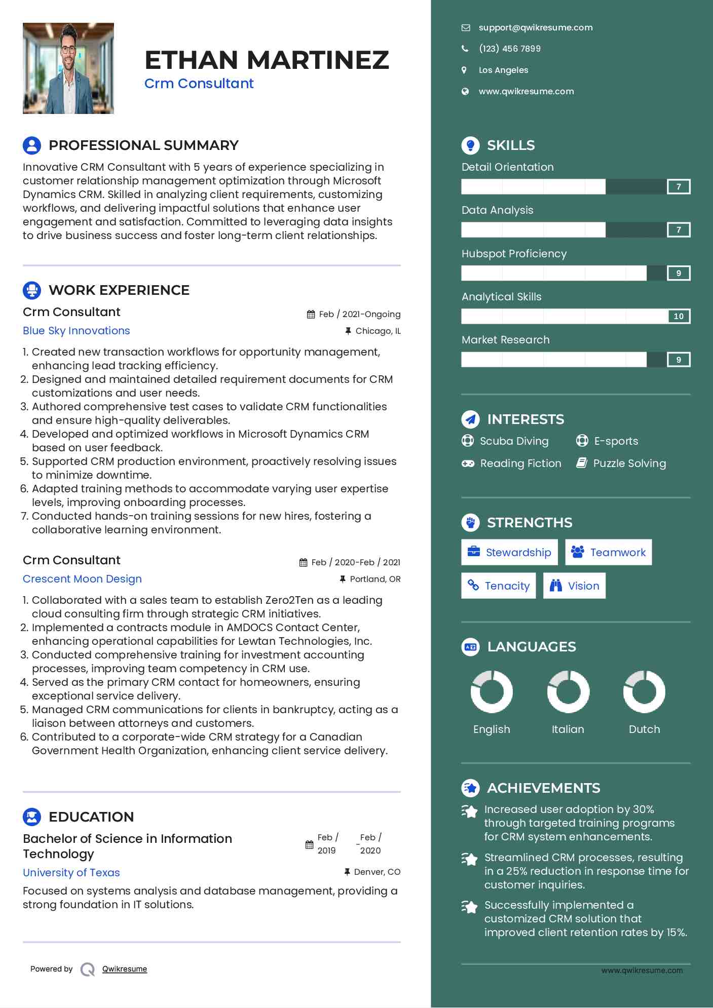 Crm Consultant Resume Example
