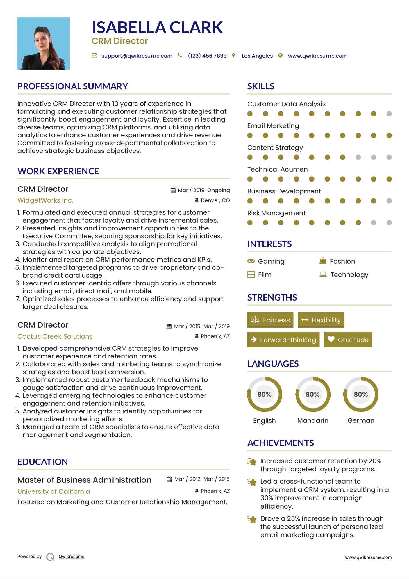 CRM Director Resume Template