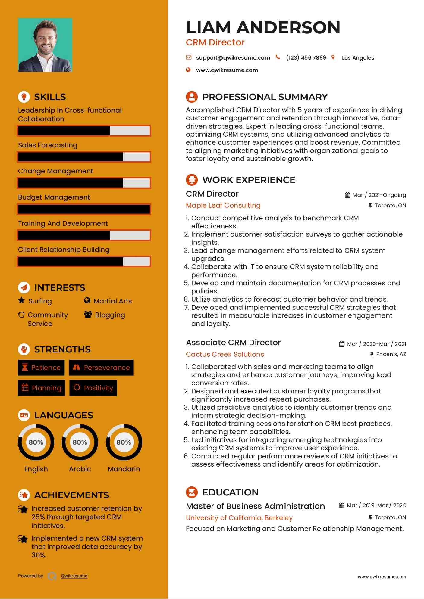 CRM Director Resume Example