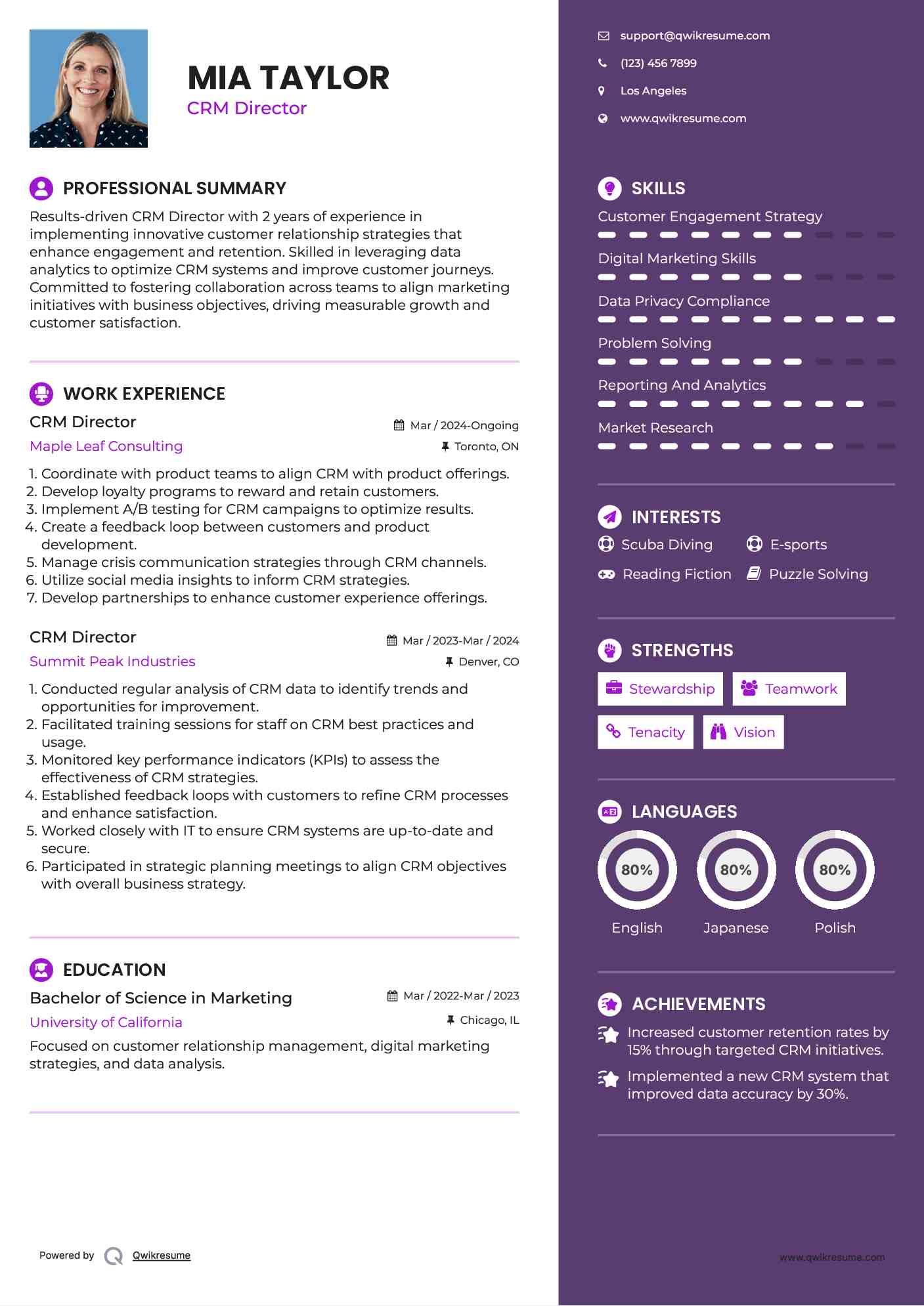 CRM Director Resume Format