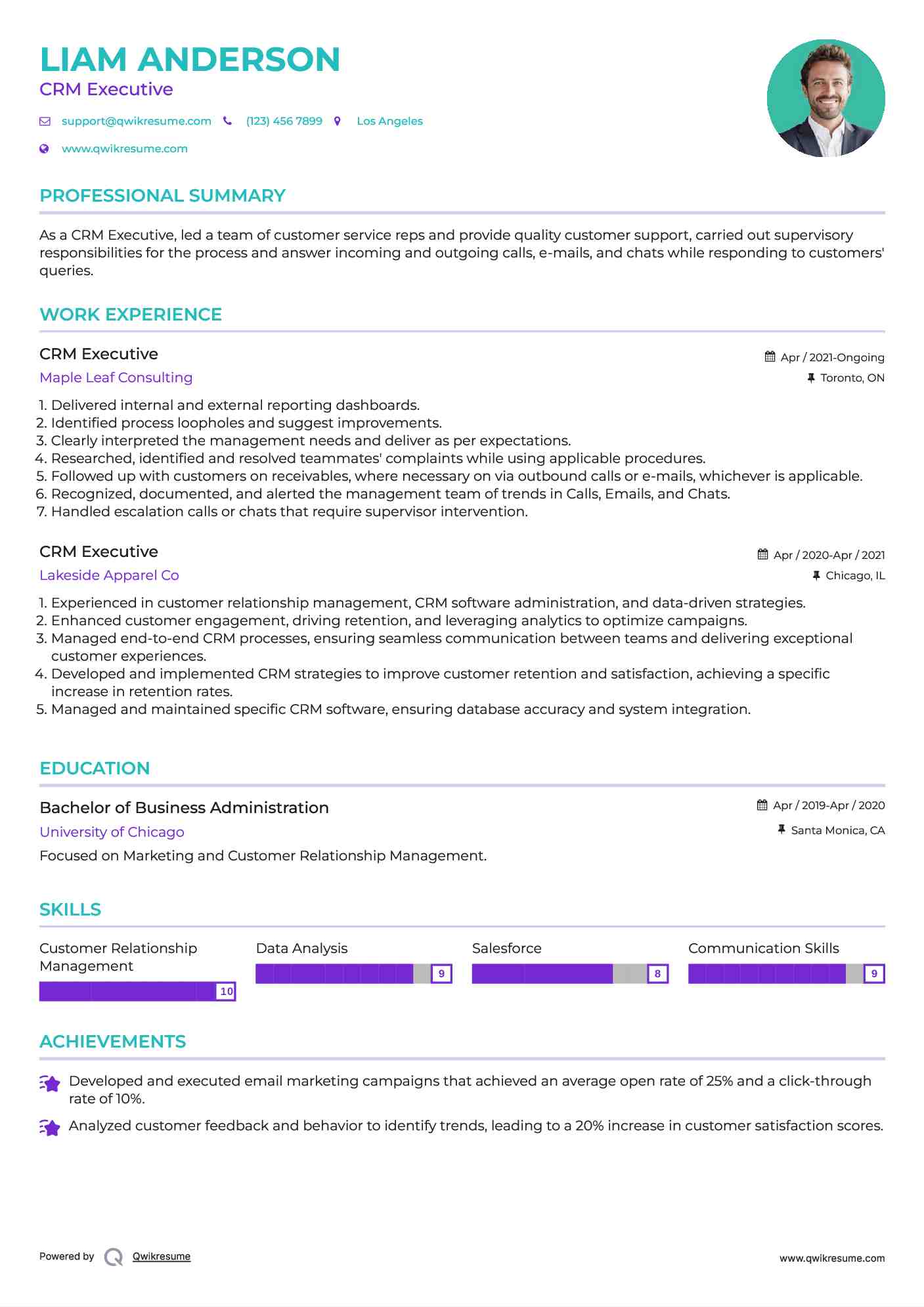 CRM Executive Resume Model