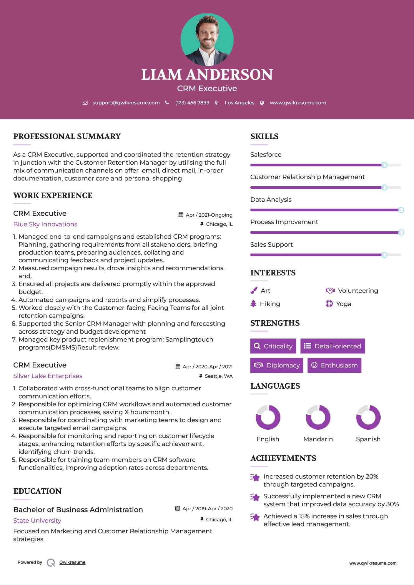 CRM Executive Resume Example