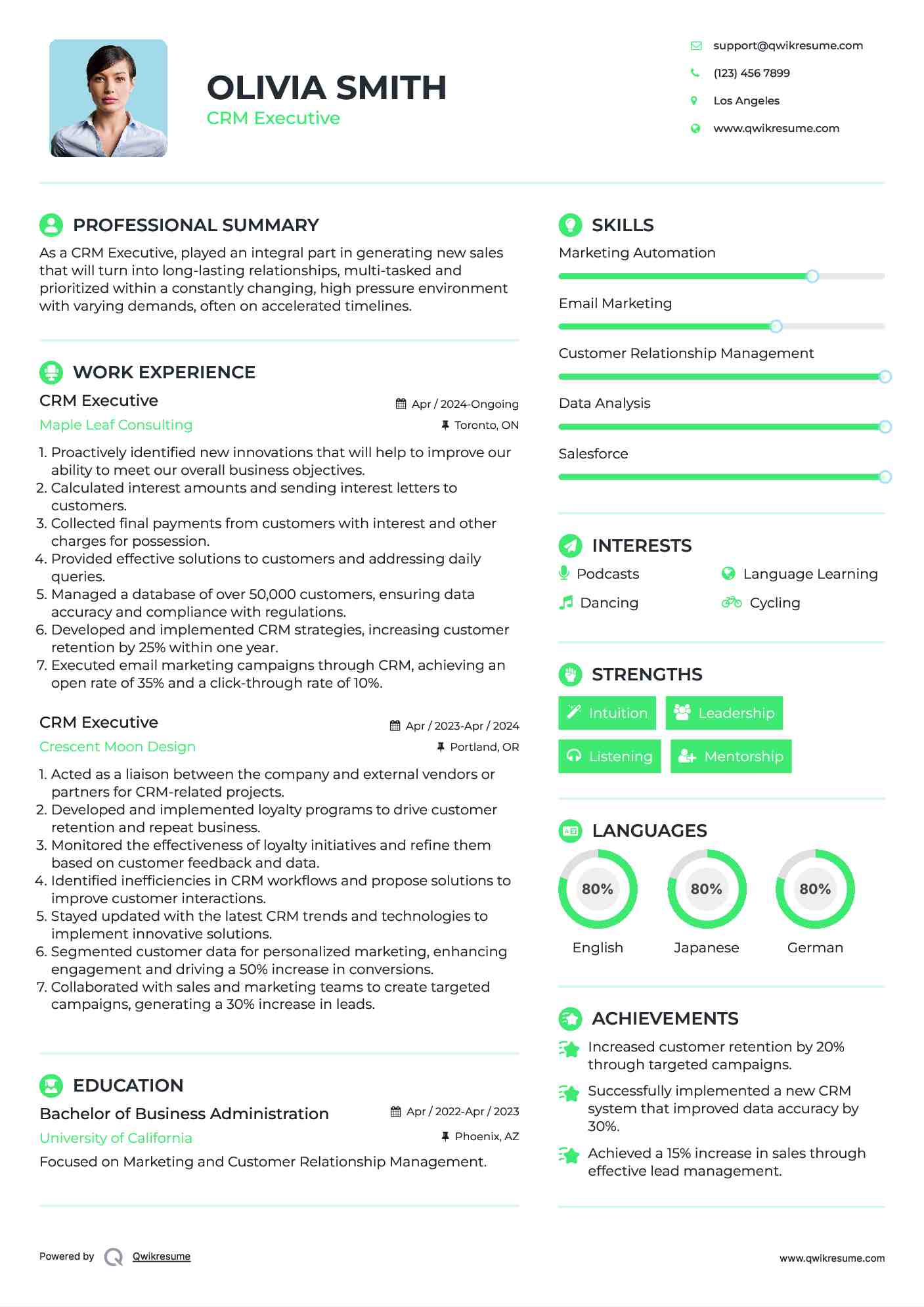 CRM Executive Resume Sample